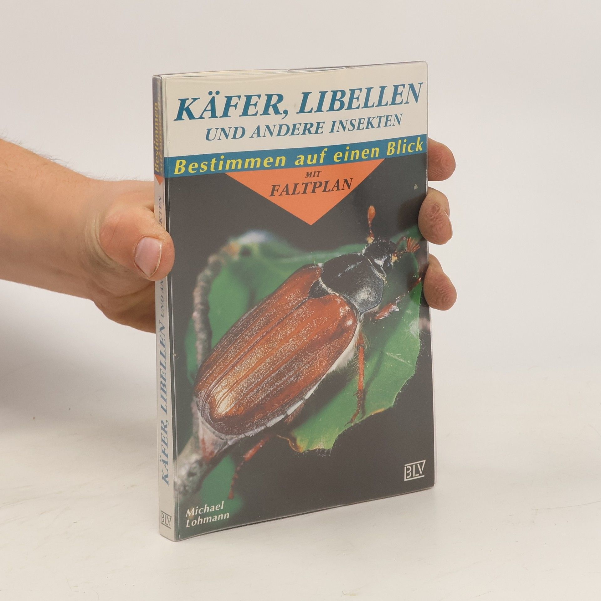 Michael Lohmann Käfer, Libellen und andere Insekten