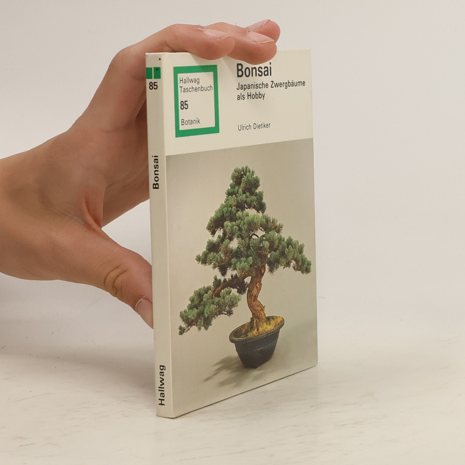 Ulrich Dietiker Bonsai