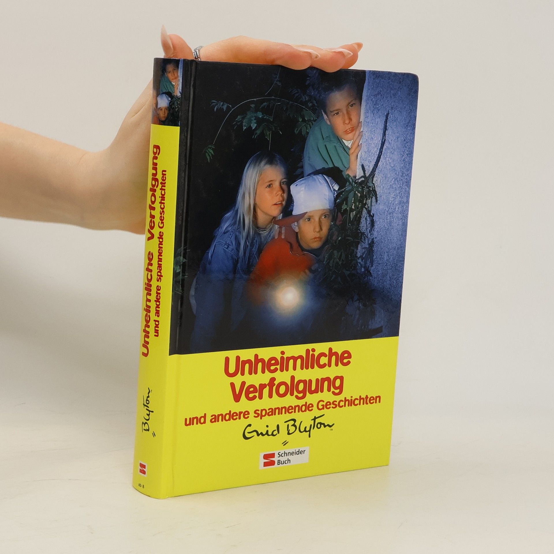 Enid Blyton Unheimliche Verfolgung und andere spannende Geschichten
