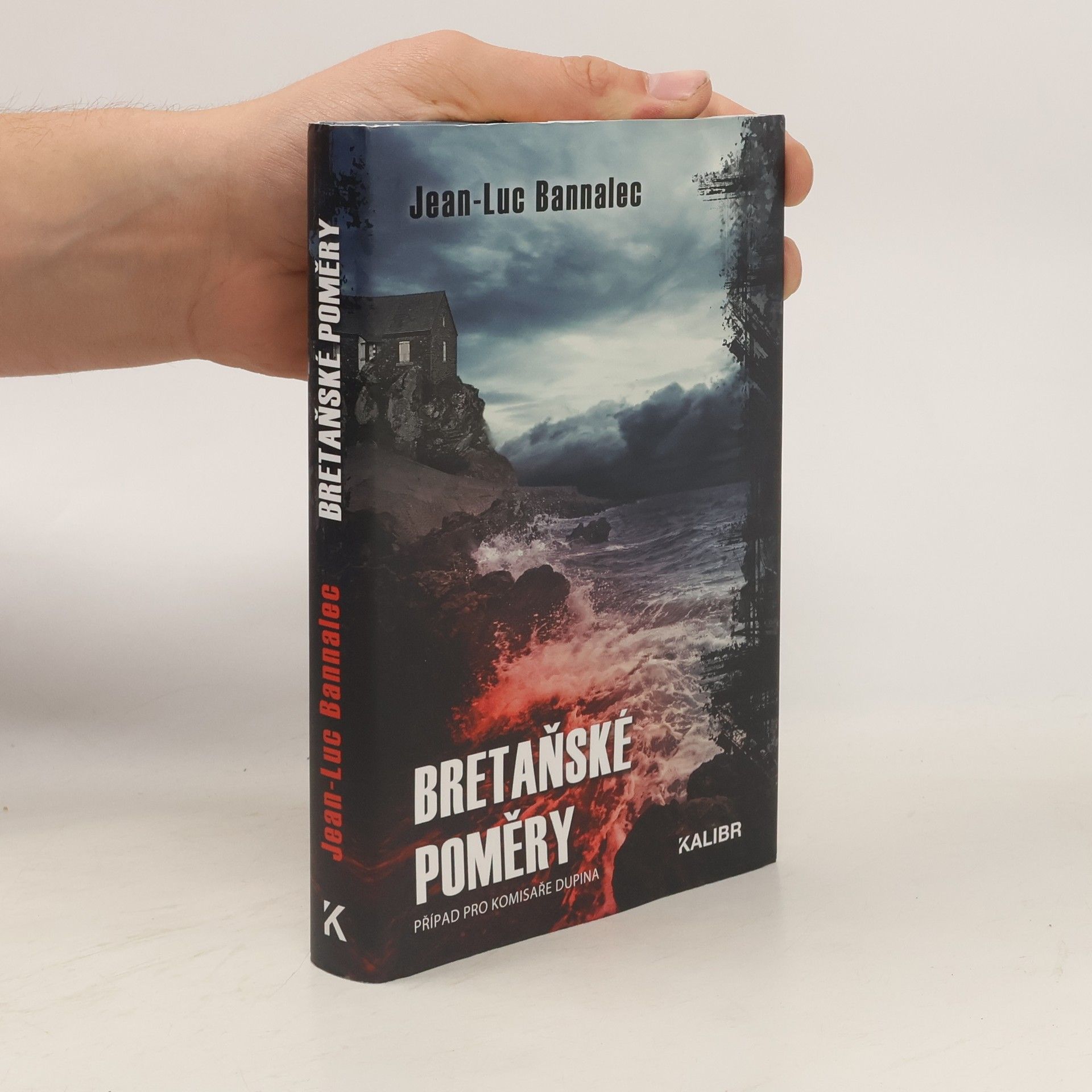 Jörg Bong Bretaňské poměry : případ pro komisaře Dupina