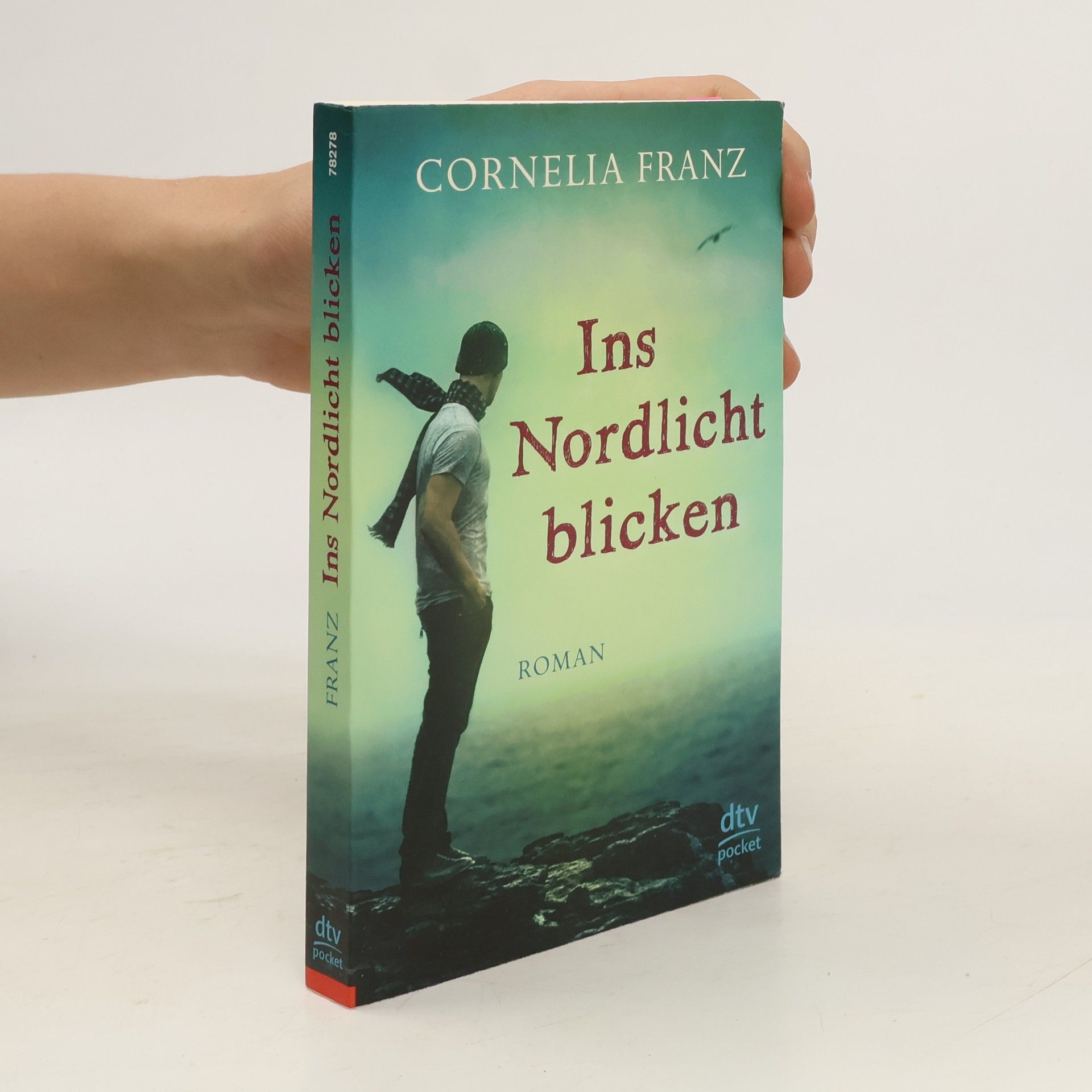 Cornelia Franz Ins Nordlicht blicken