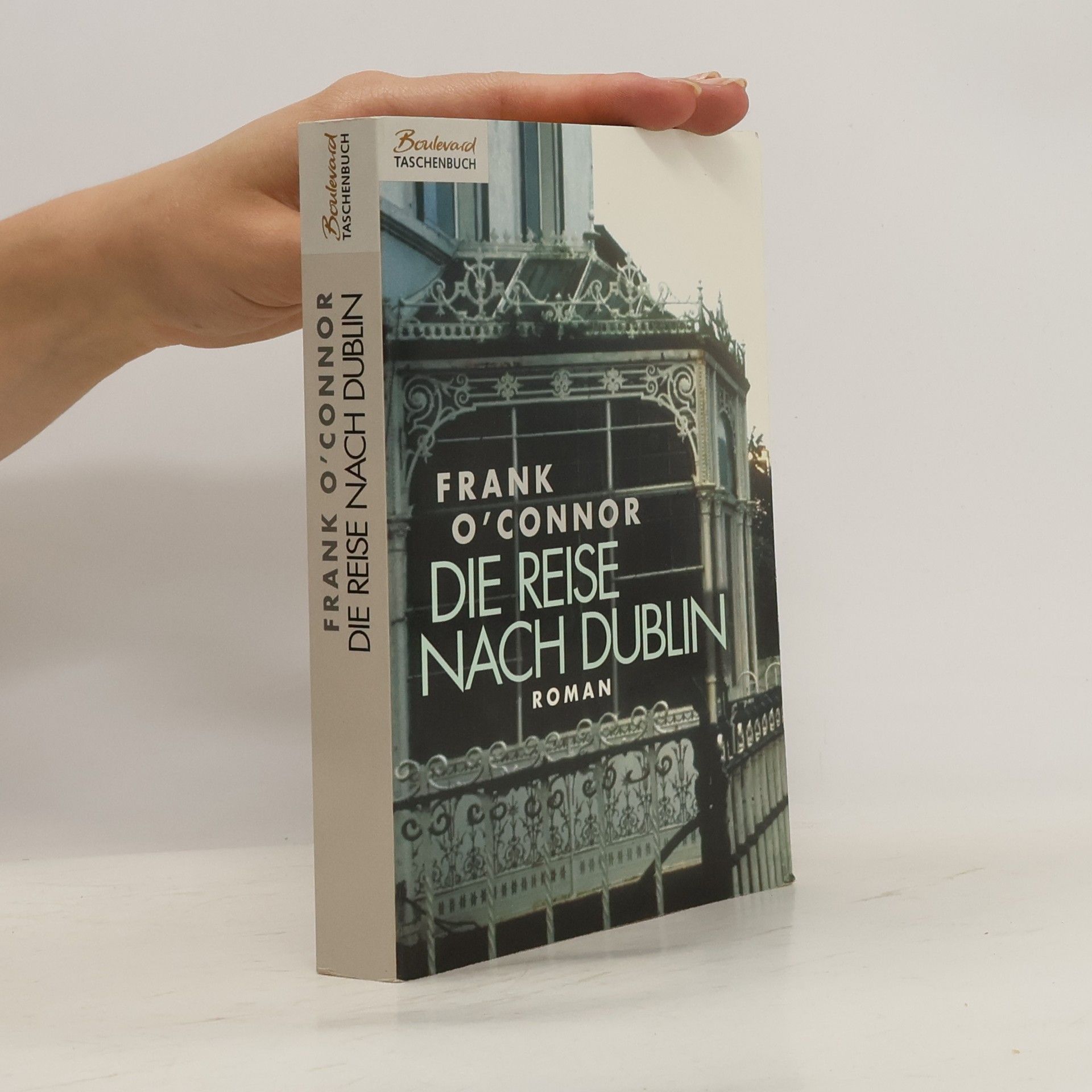 Frank O’Connor Die Reise nach Dublin