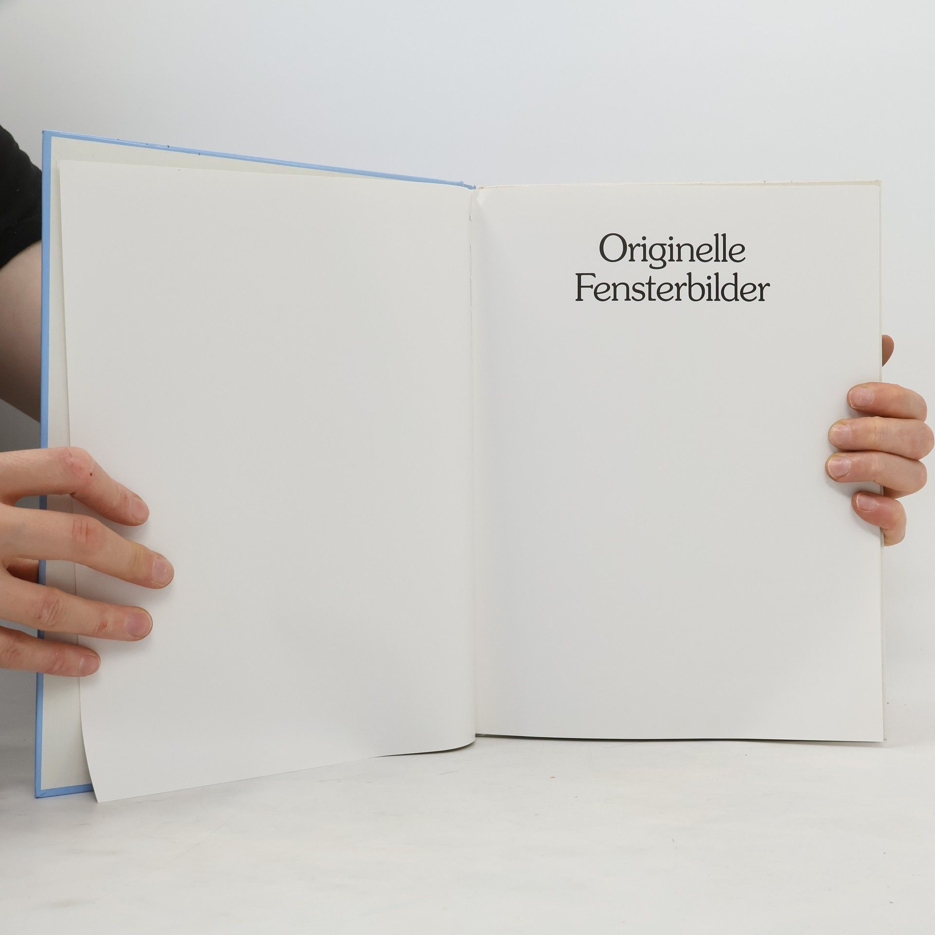 Autorenkollektiv Originelle Fensterbilder