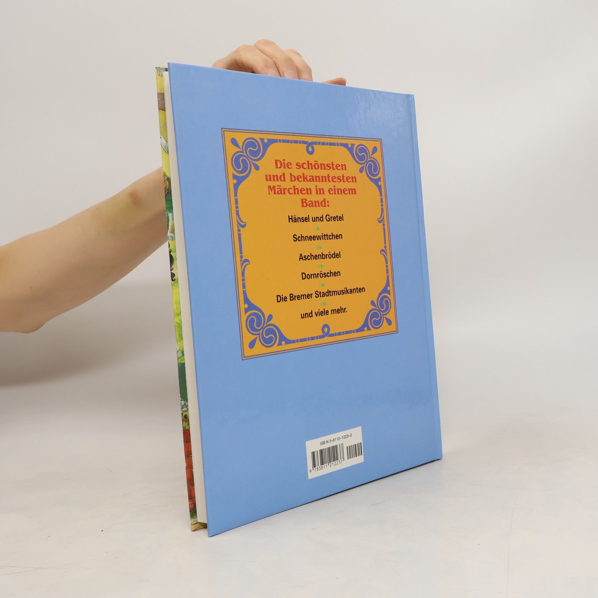 Autores varios Mein schönstes Märchenbuch