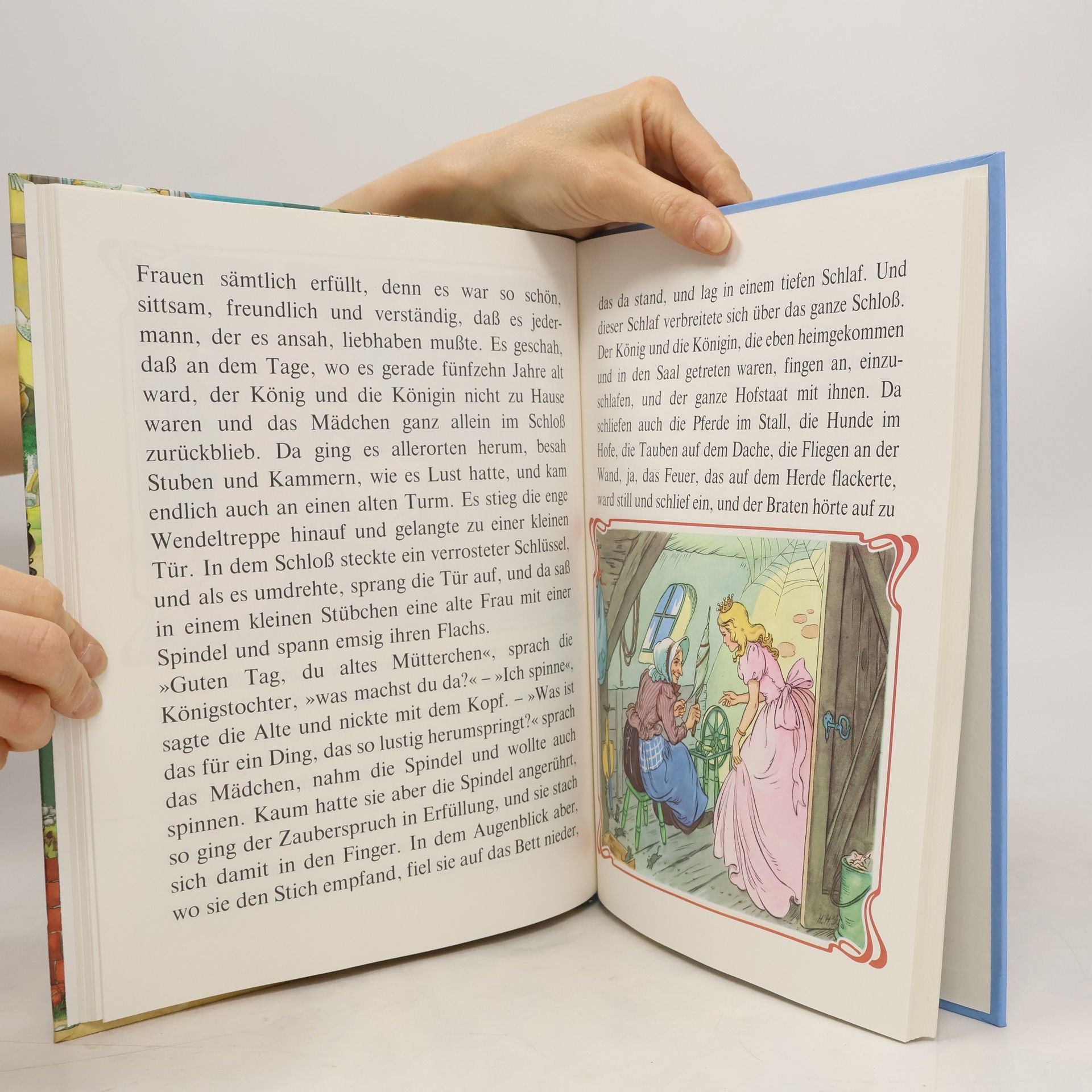 Autores varios Mein schönstes Märchenbuch