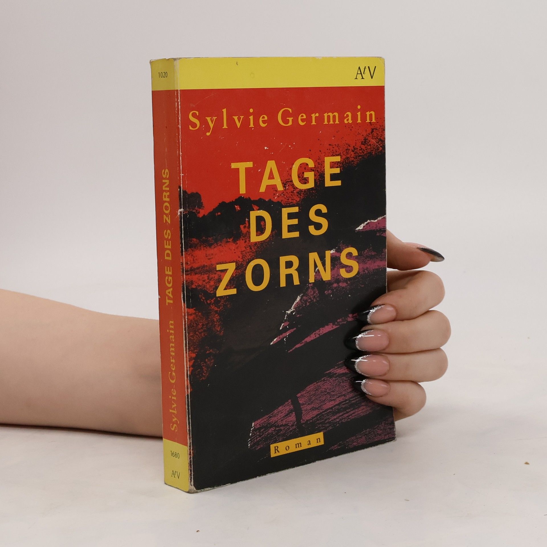 Sylvie Germain Tage des Zorns