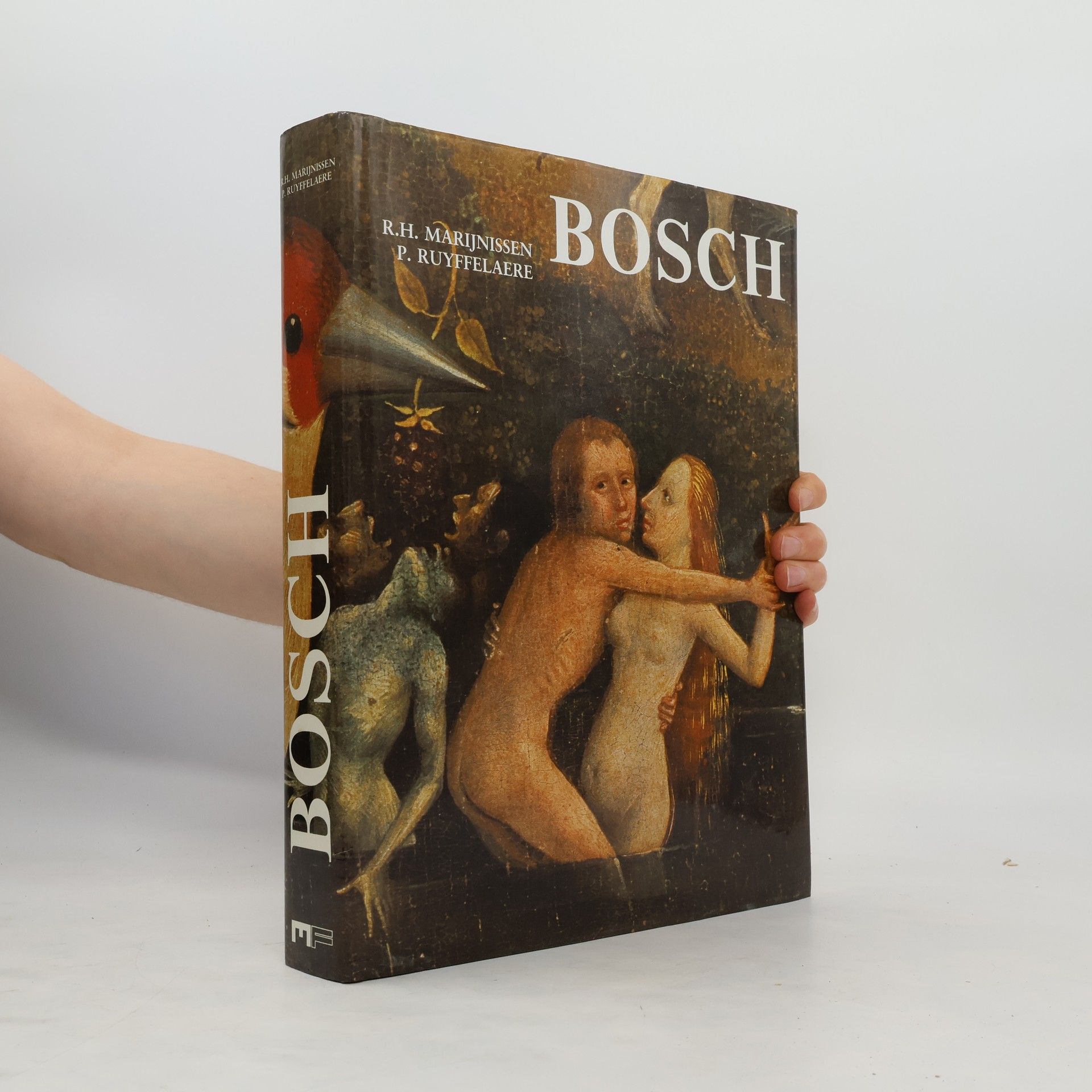 Roger Marijnissen Hieronymus Bosch