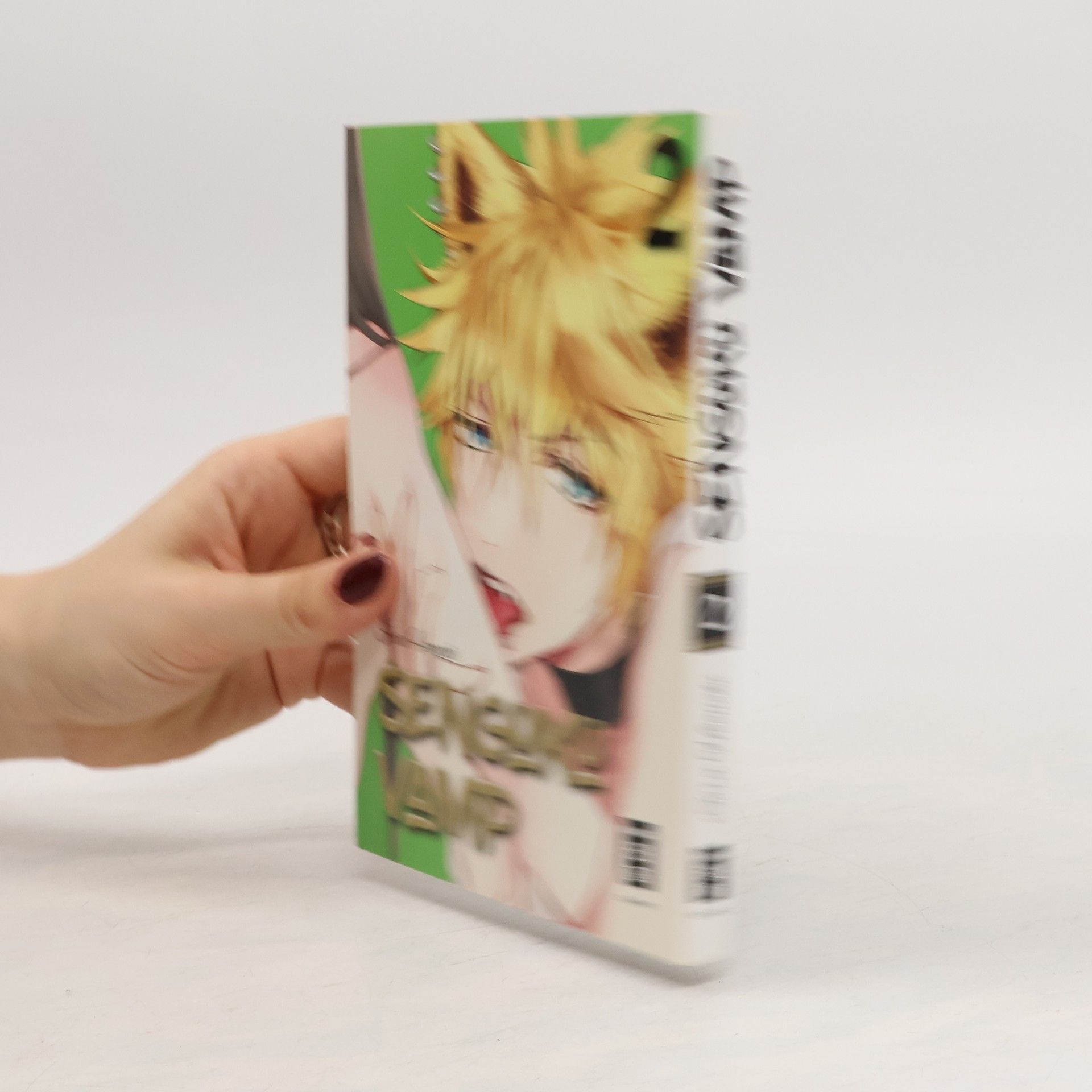 Sora Hoonoki Sengoku Vamp 2