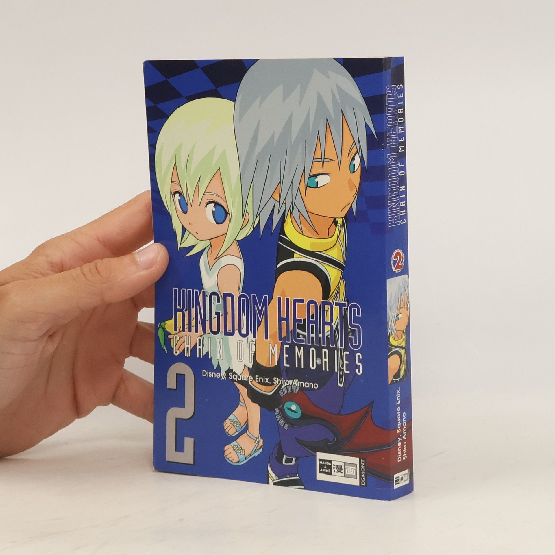 Collective Kingdom hearts