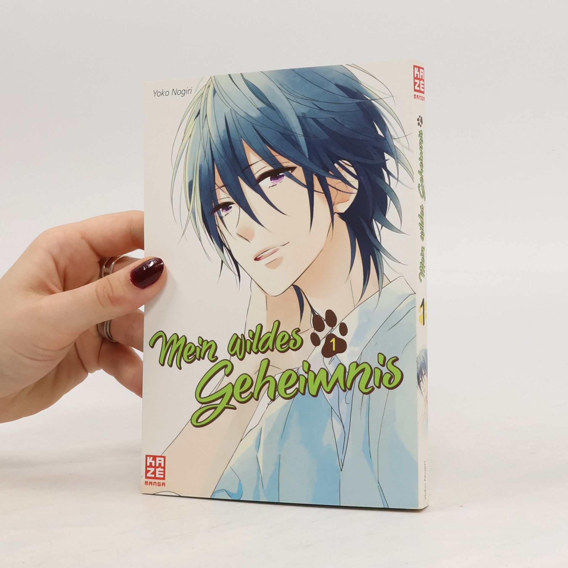 Yoko Nogiri Mein wildes Geheimnis 1