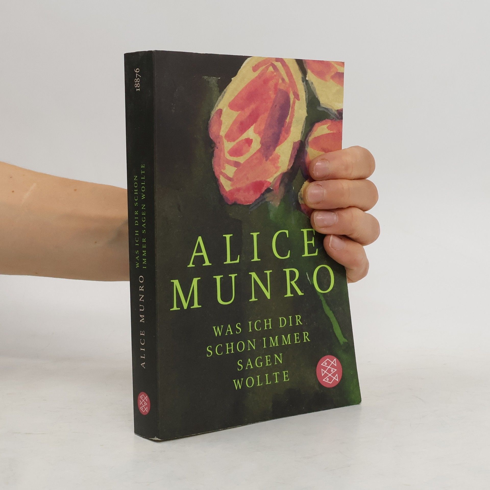 Alice Munro Was ich dir schon immer sagen wollte