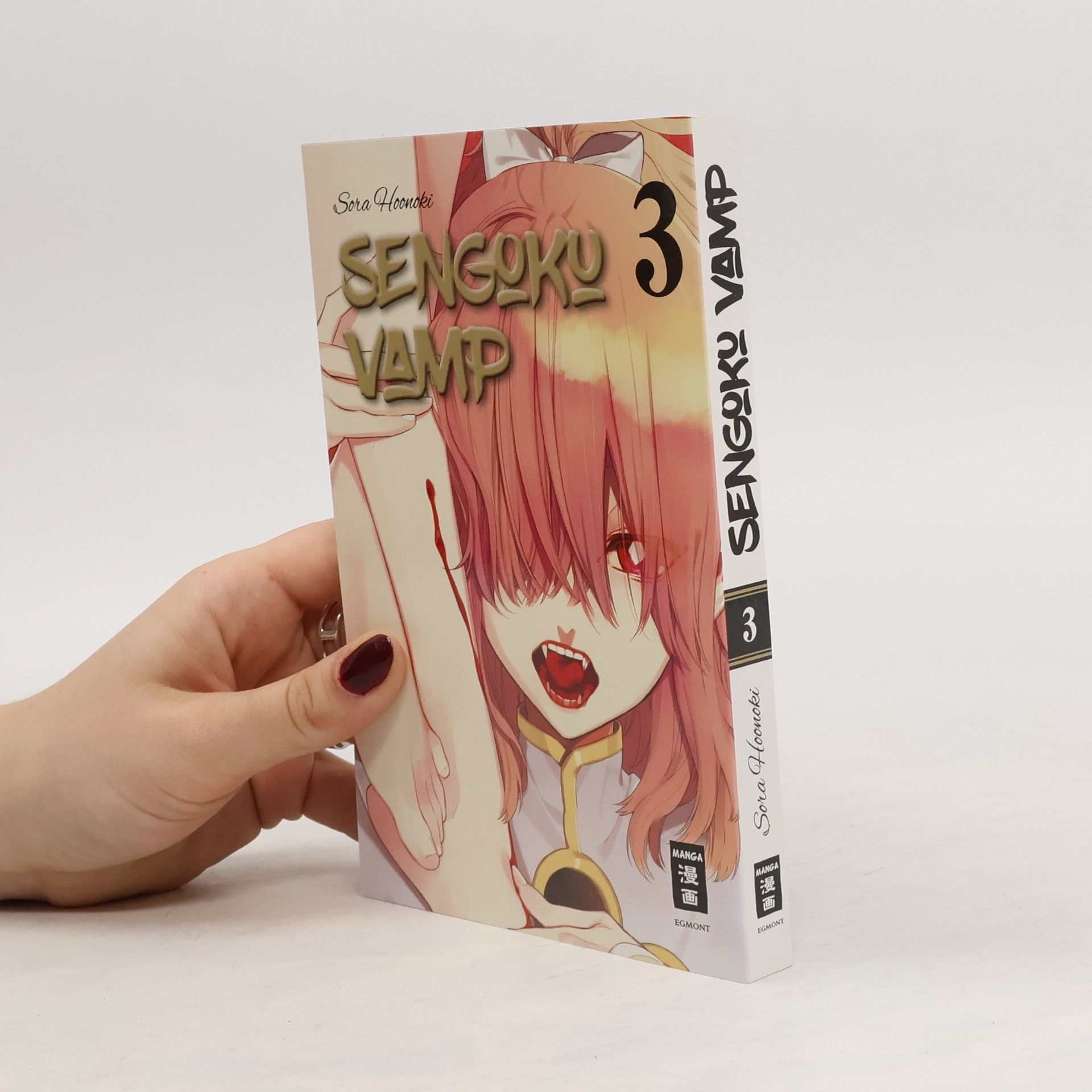 Sora Hoonoki Sengoku Vamp 3