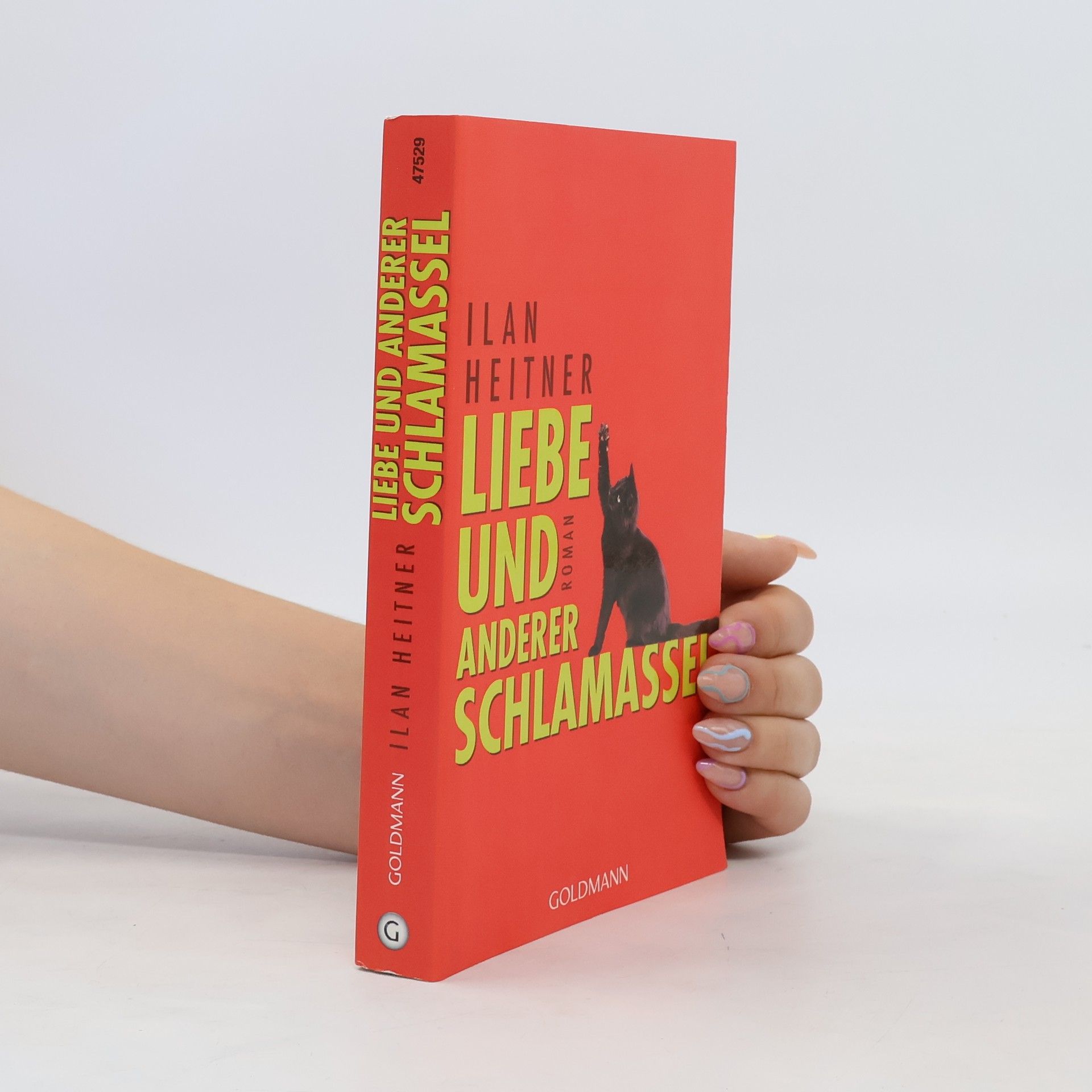 Ilan Heitner Liebe und anderer Schlamassel