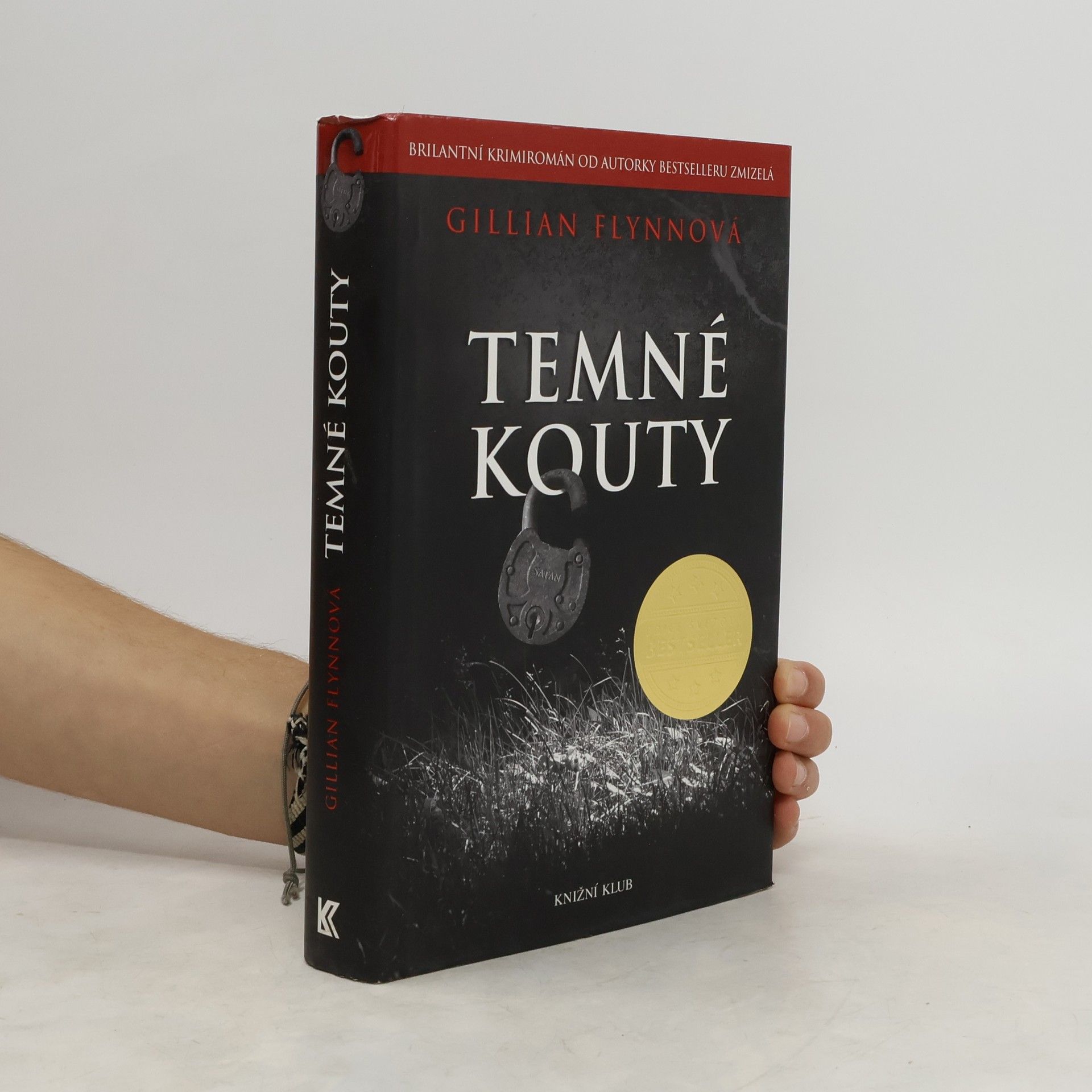 Gillian Flynn Temné kouty