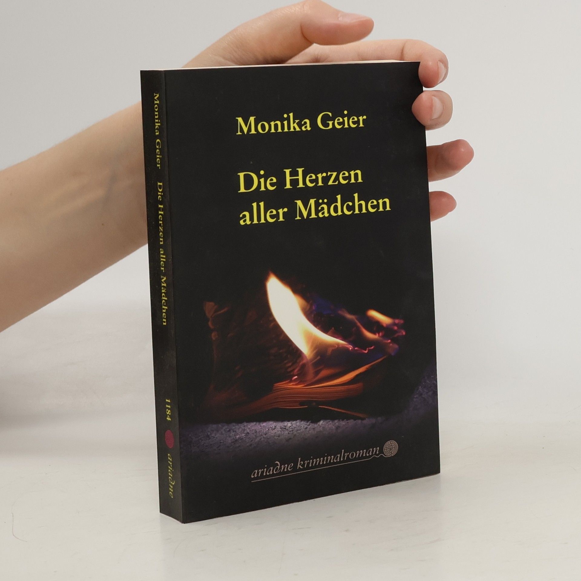 Monika Geier Die Herzen aller Mädchen
