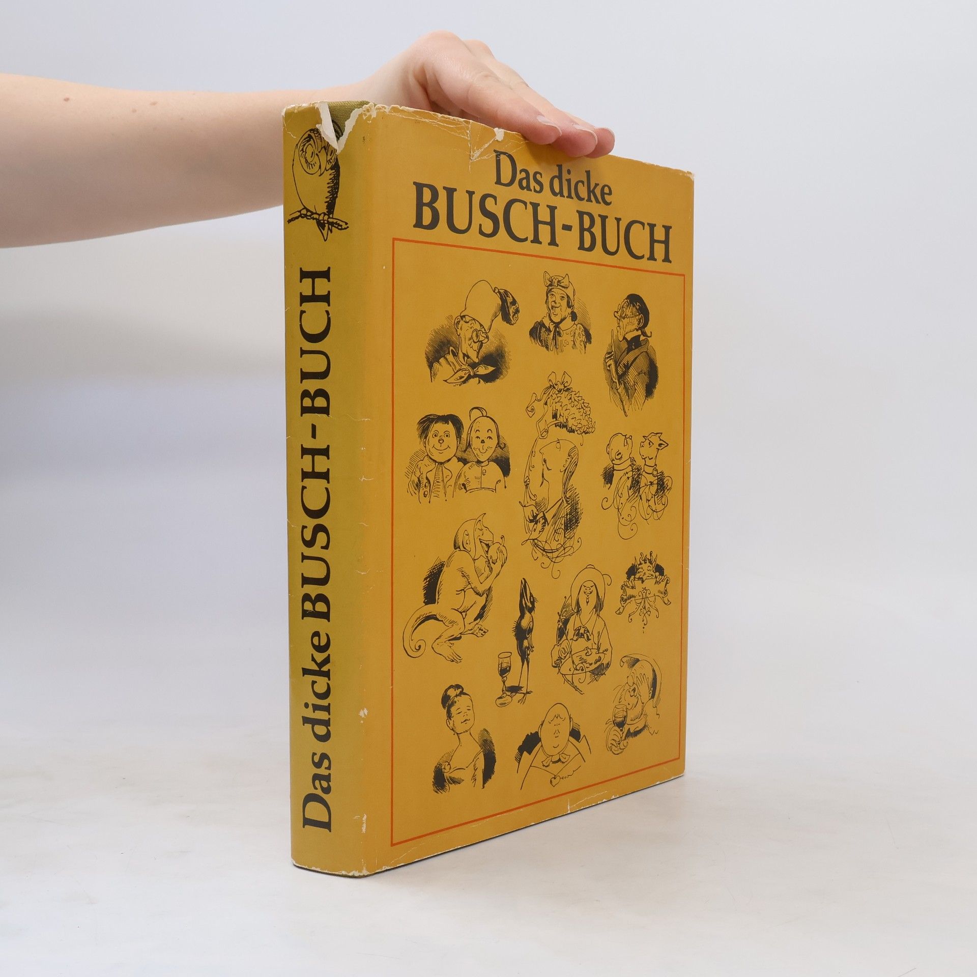 Autorenkollektiv Das dicke Busch-Buch