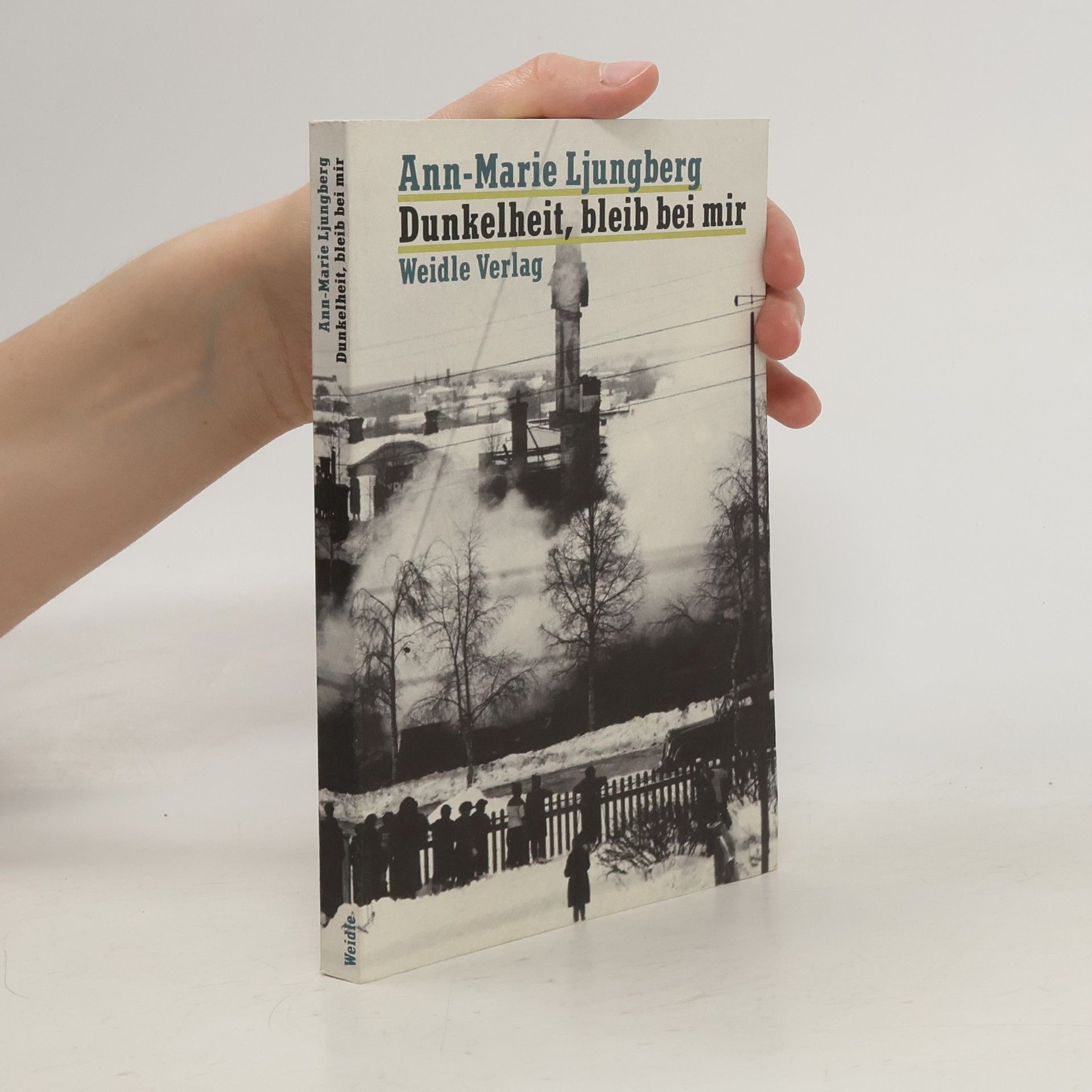 Ann Marie Ljungberg Dunkelheit, bleib bei mir