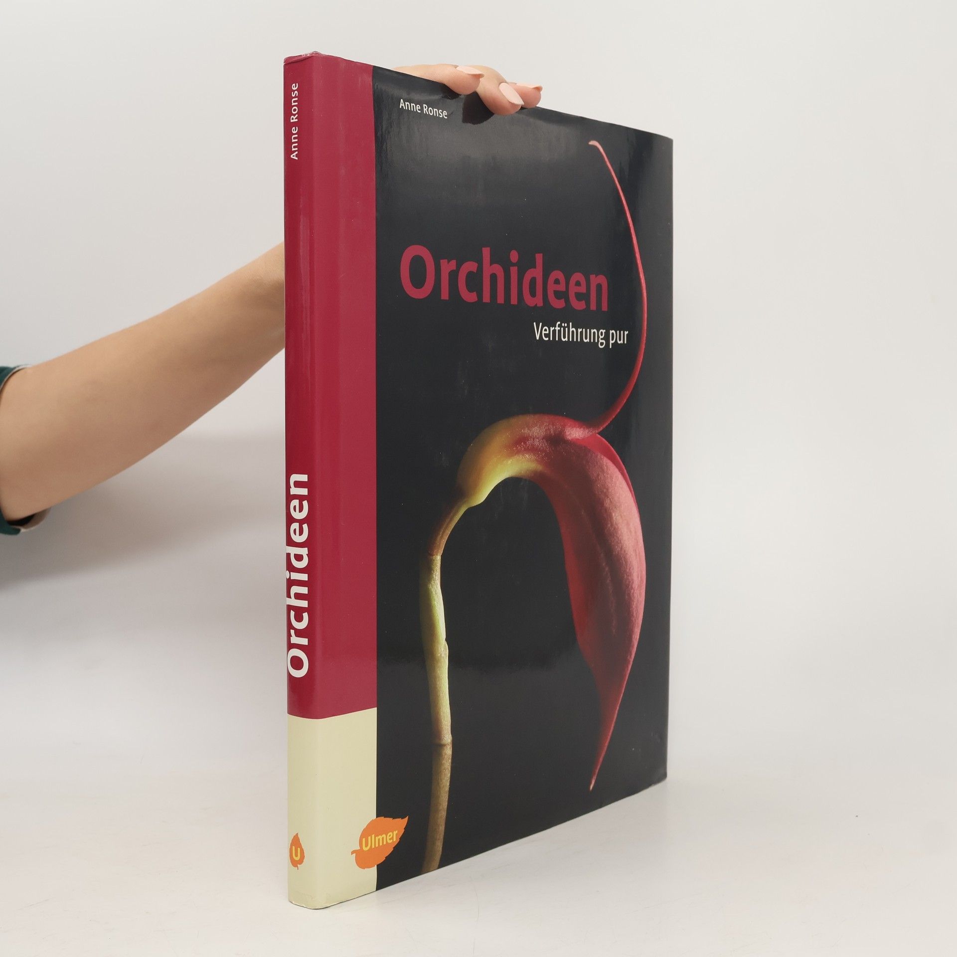 Anne Ronse Orchideen