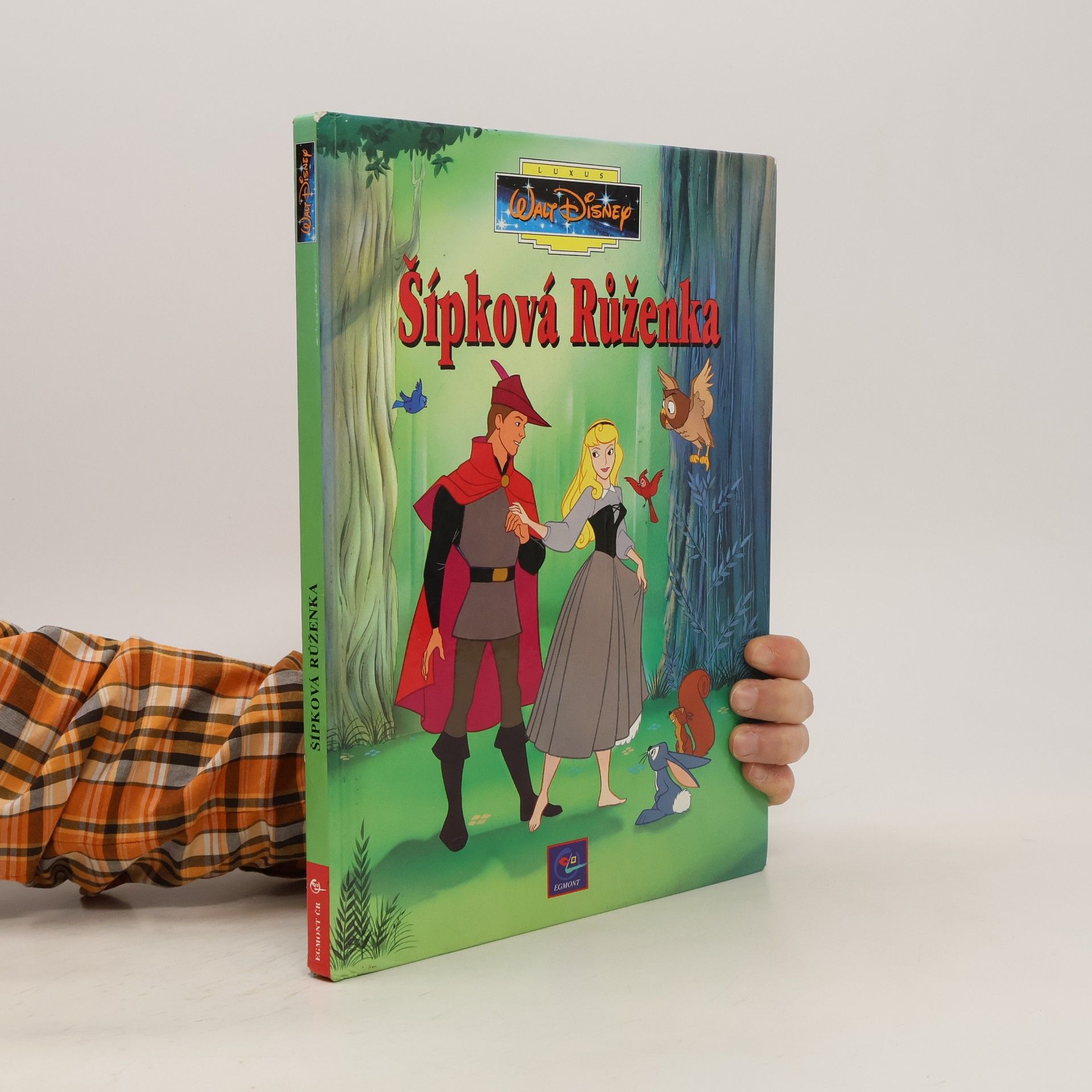 Collectif d'auteurs Šípková Růženka