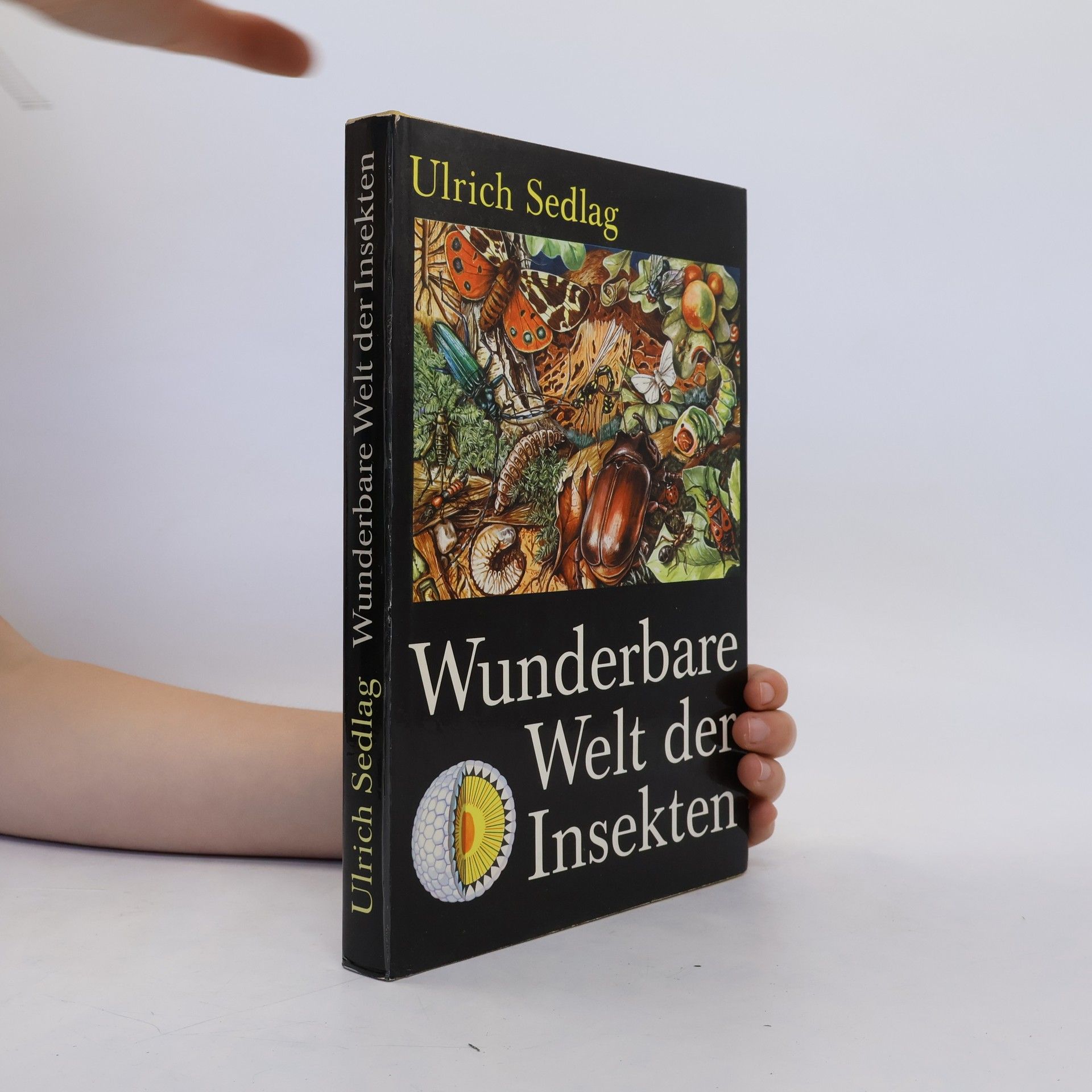 Ulrich Sedlag Rätsel und Wunder im Reich der Insekten