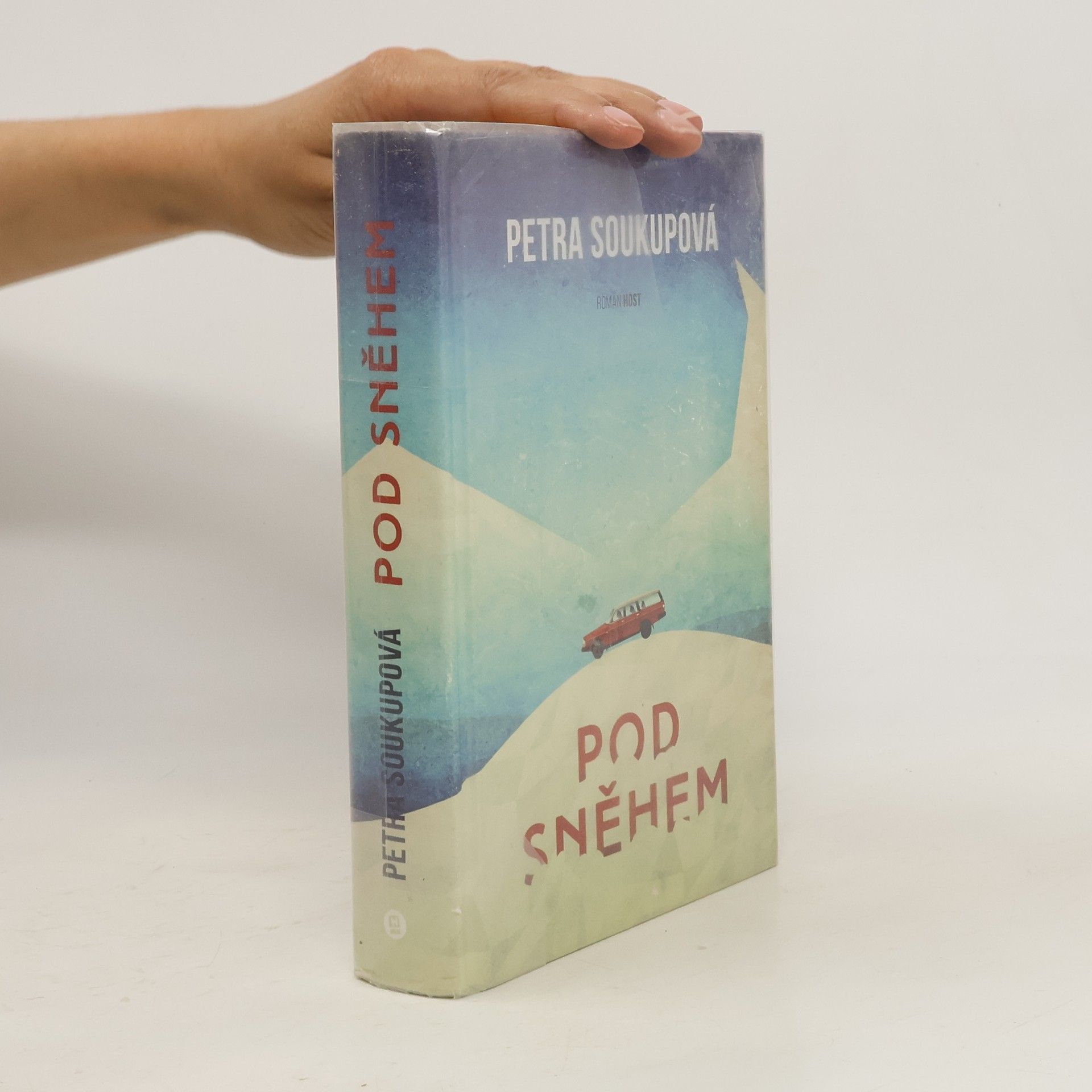Petra Soukupová Pod sněhem
