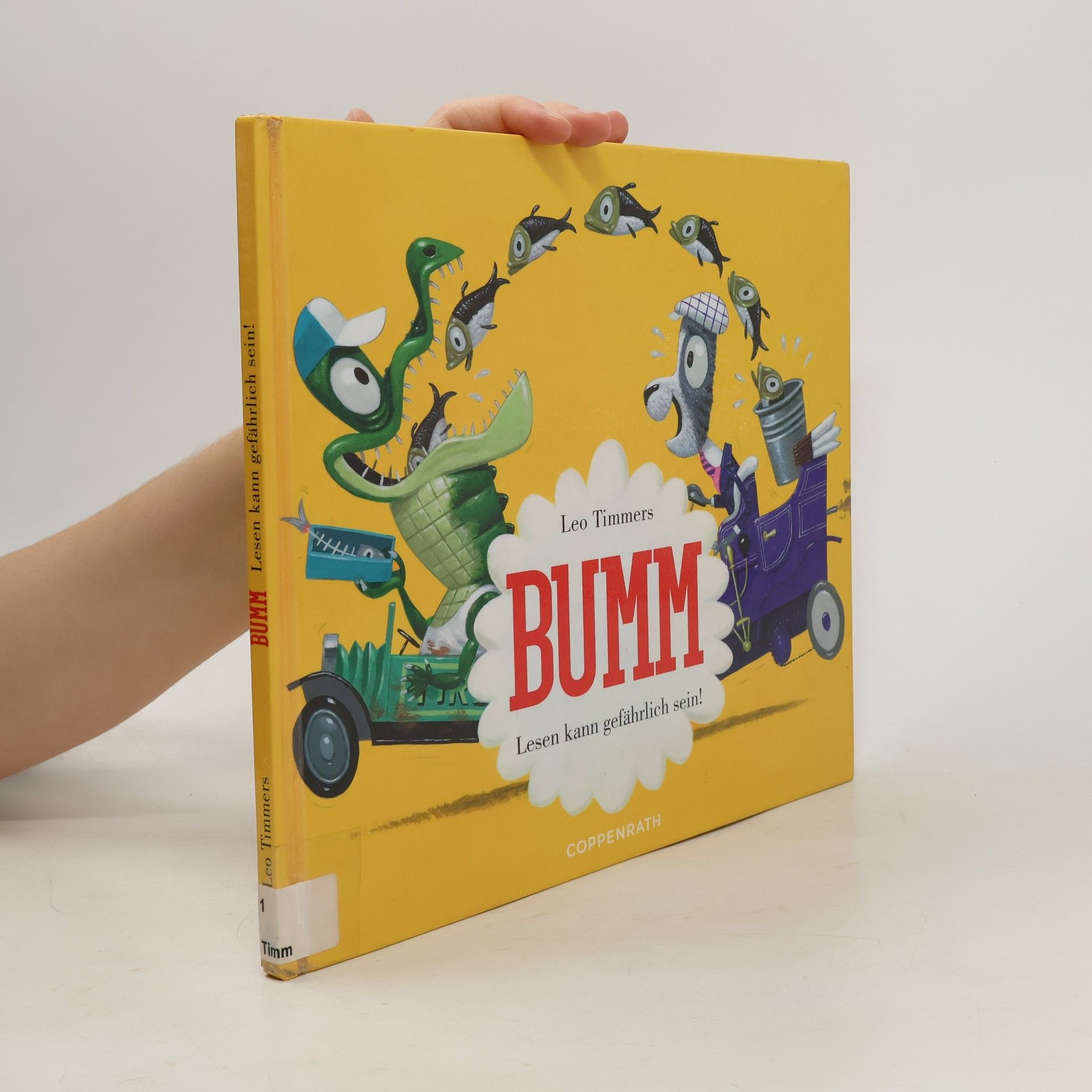 Leo Timmers Bumm. Lesen kann gefährlich sein!