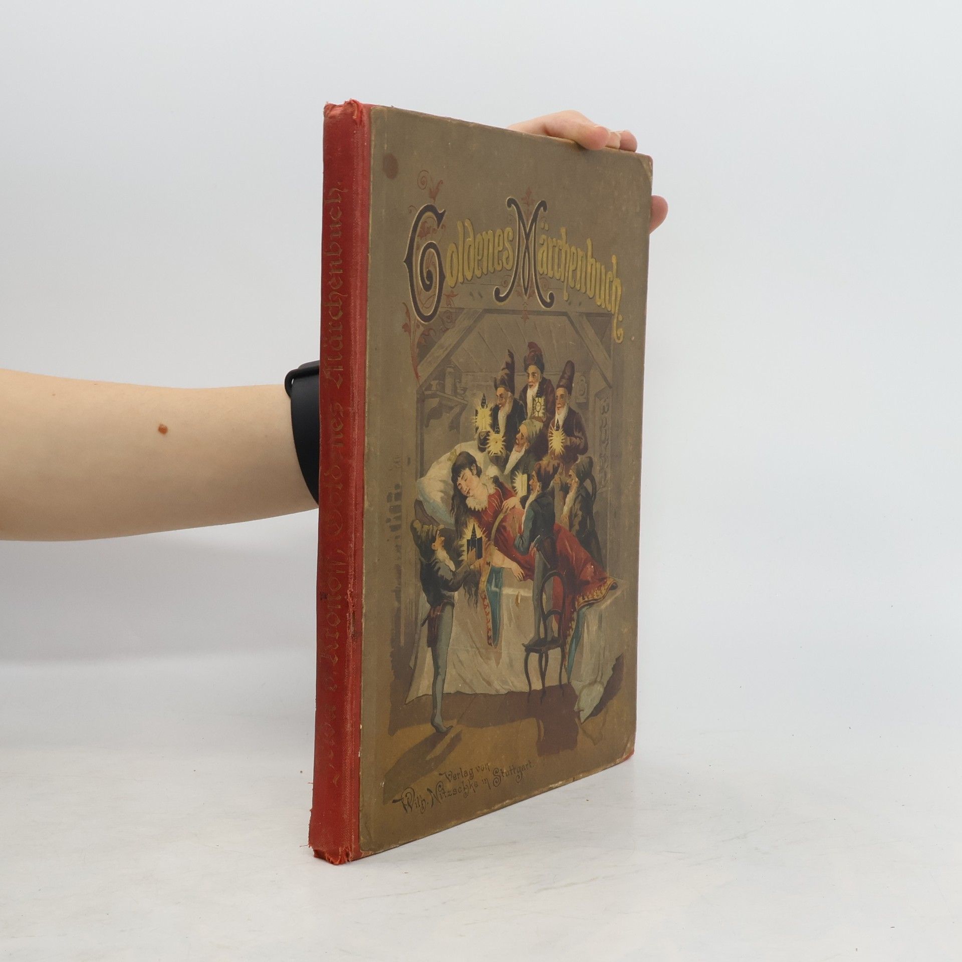 Frida von Kronoff Goldenes Märchenbuch