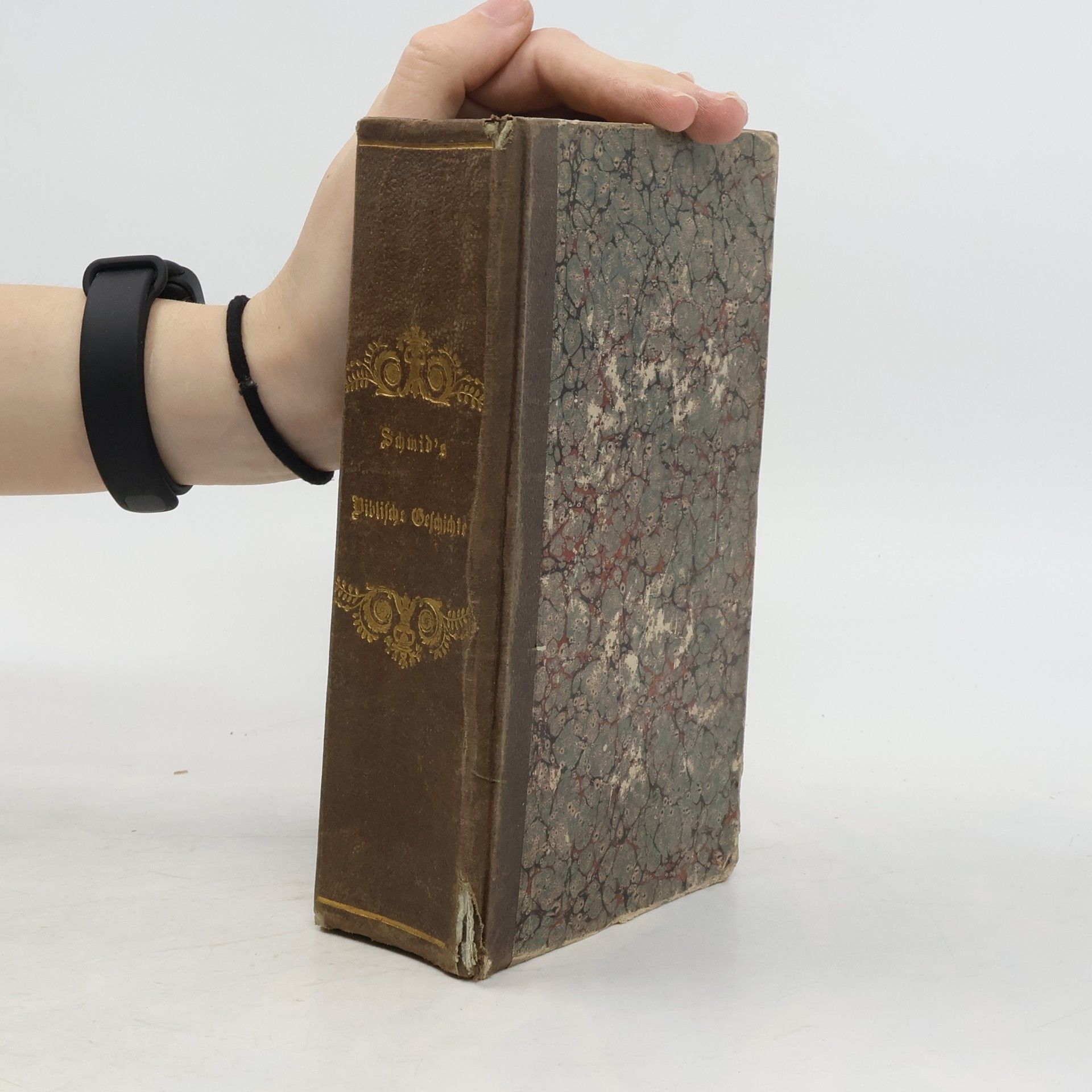 Autorenkollektiv Biblische Geschichte des alten und neuen Testamentes