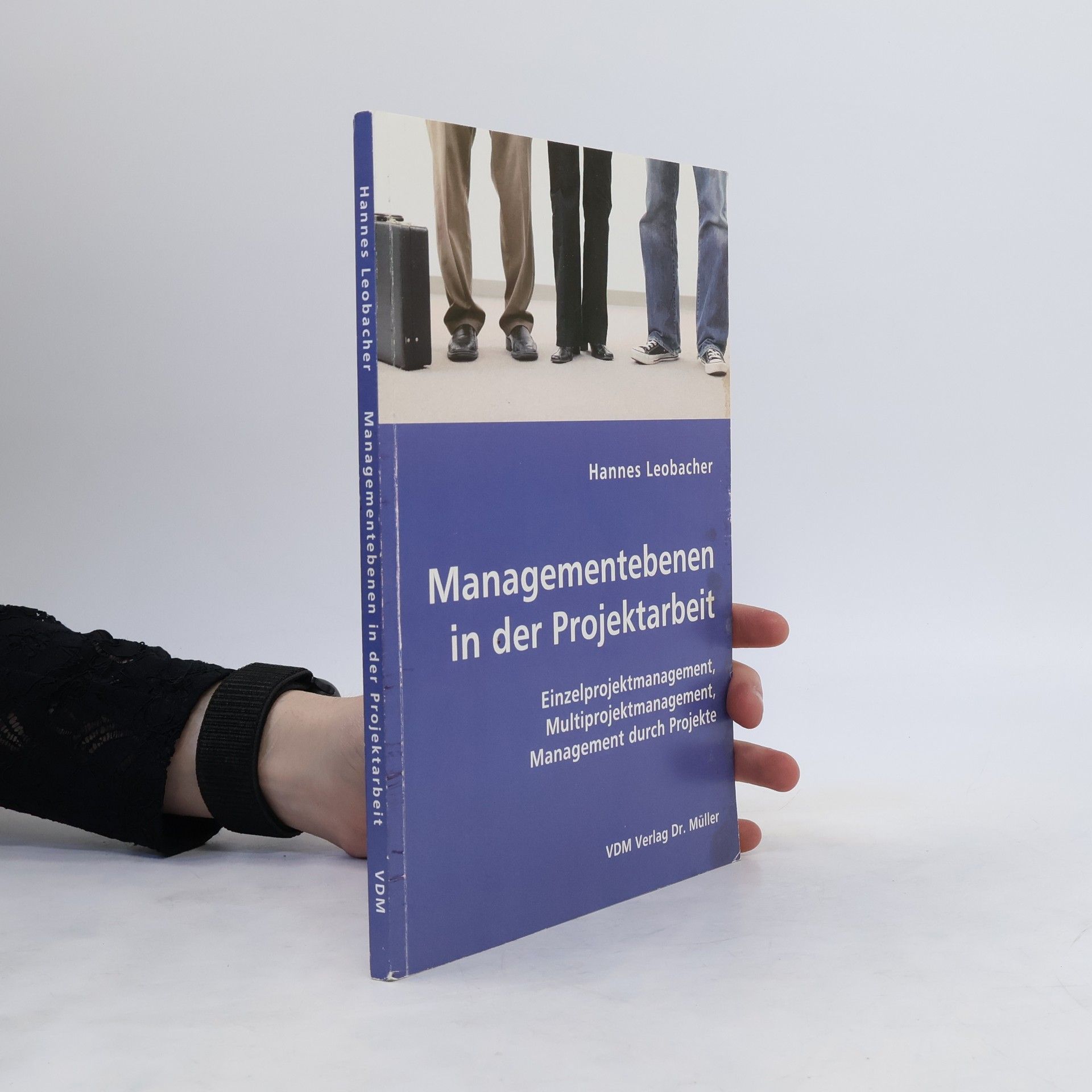 Hannes Leobacher Managementebenen in der Projektarbeit