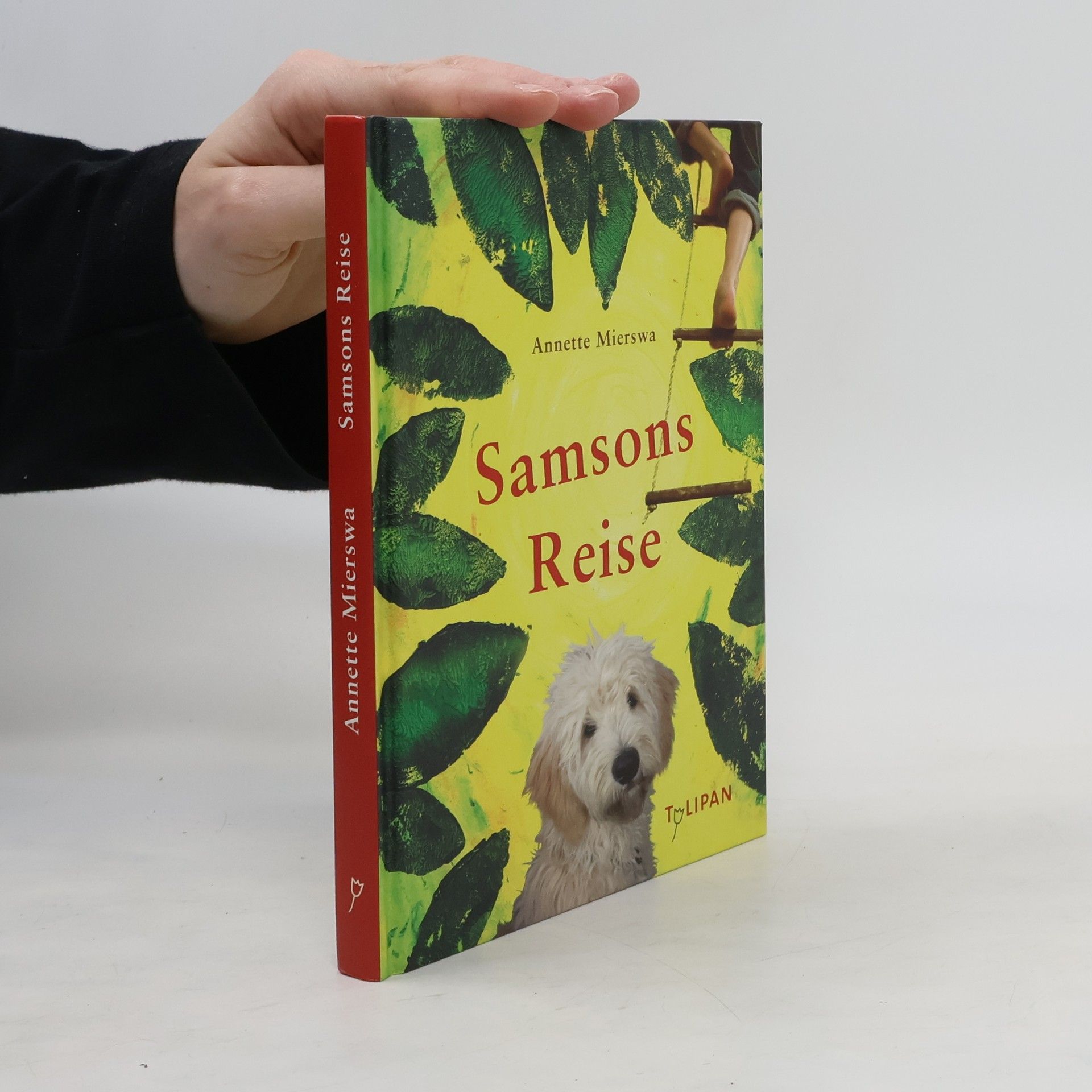 Annette Mierswa Samsons Reise