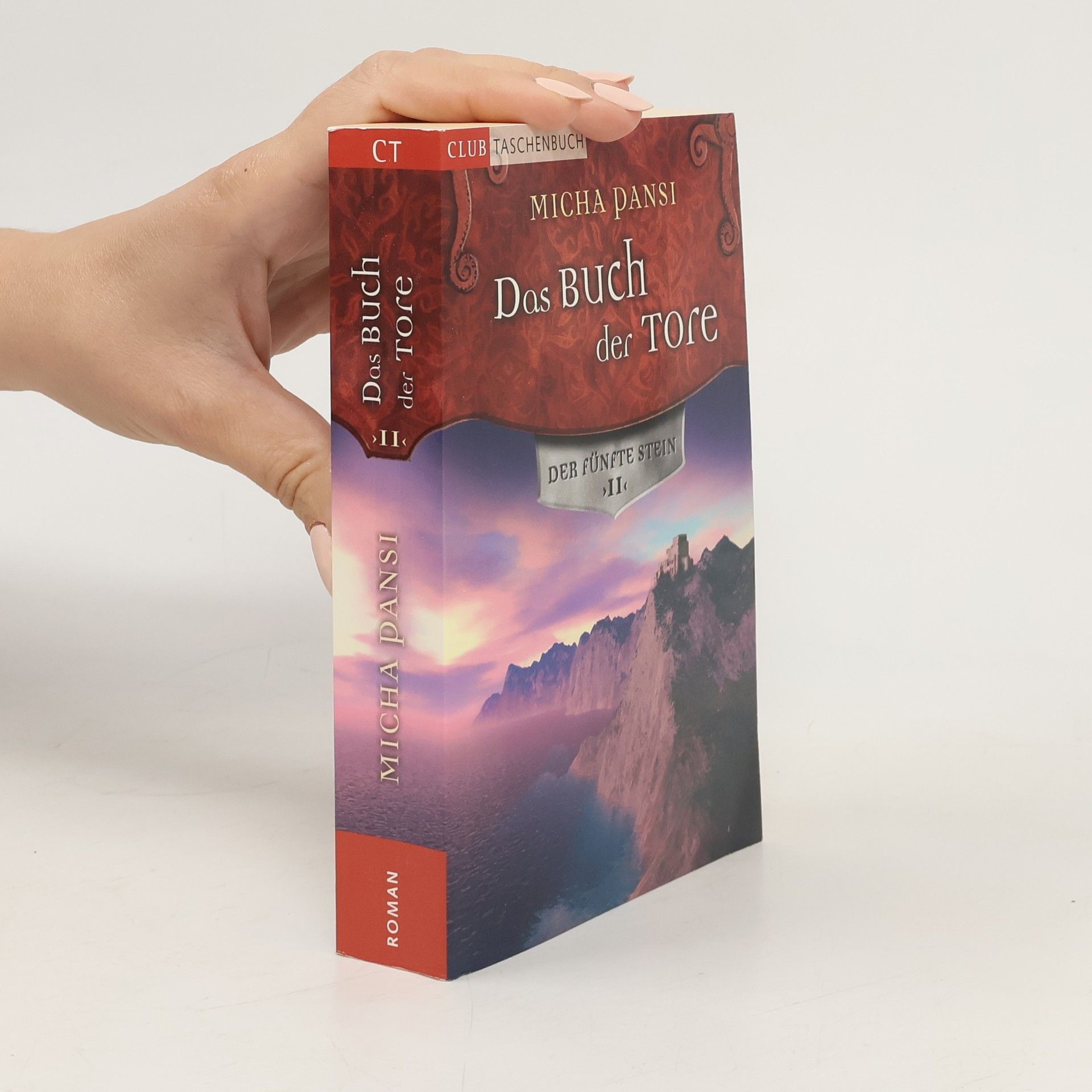 Micha Pansi Das Buch der Tore II