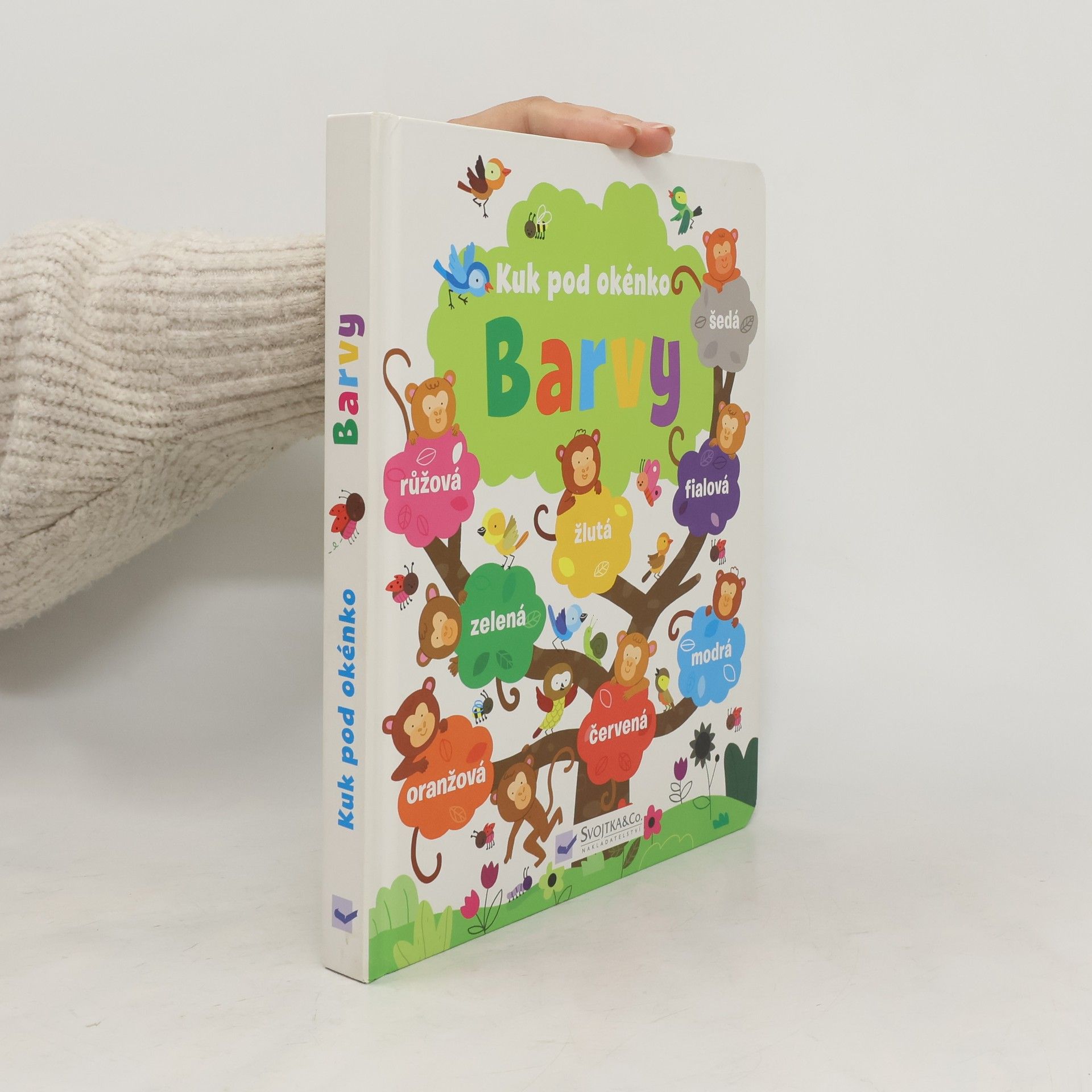 Felicity Brooks Barvy: Otevři okénko (pop-up)