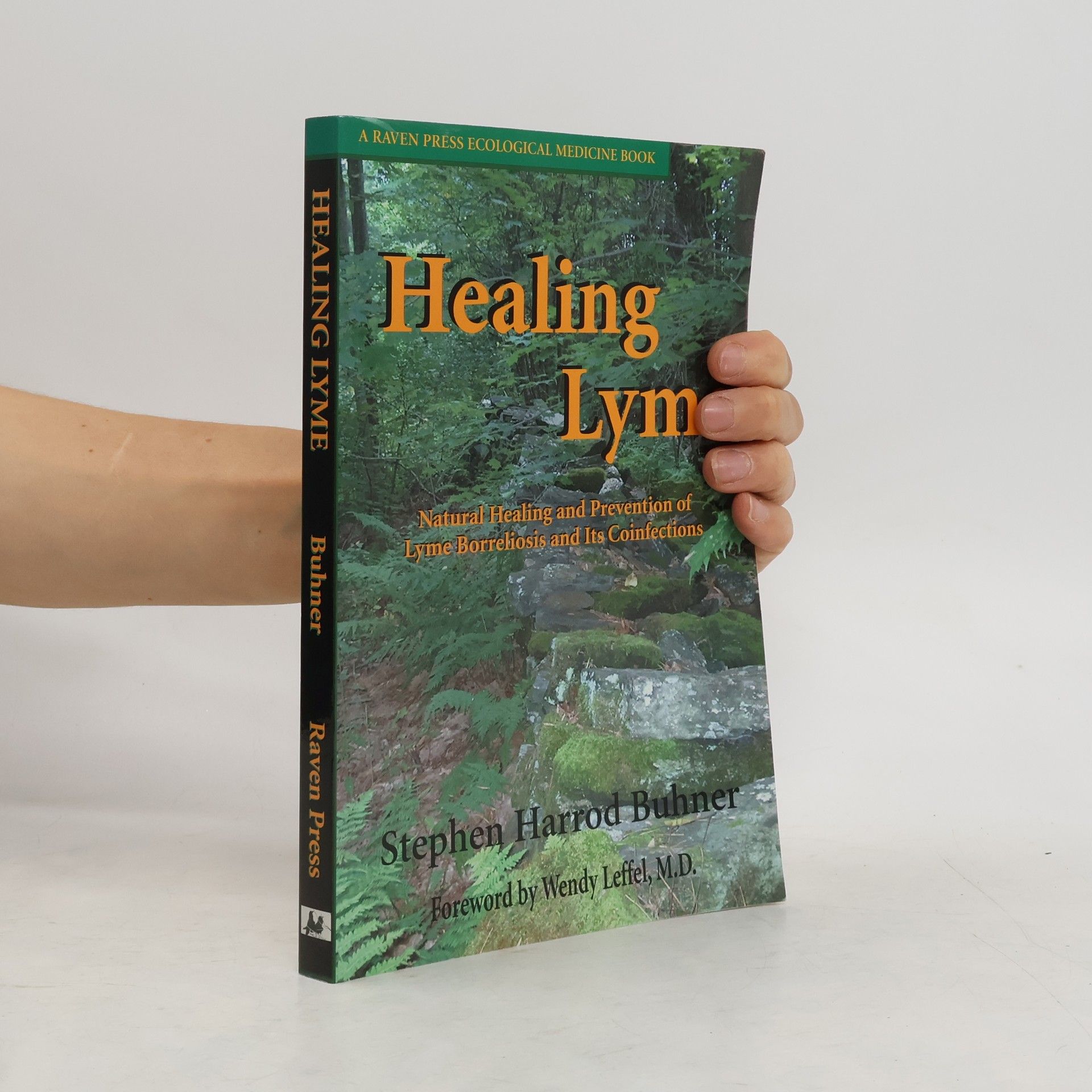 Stephen Harrod Buhner Healing Lyme