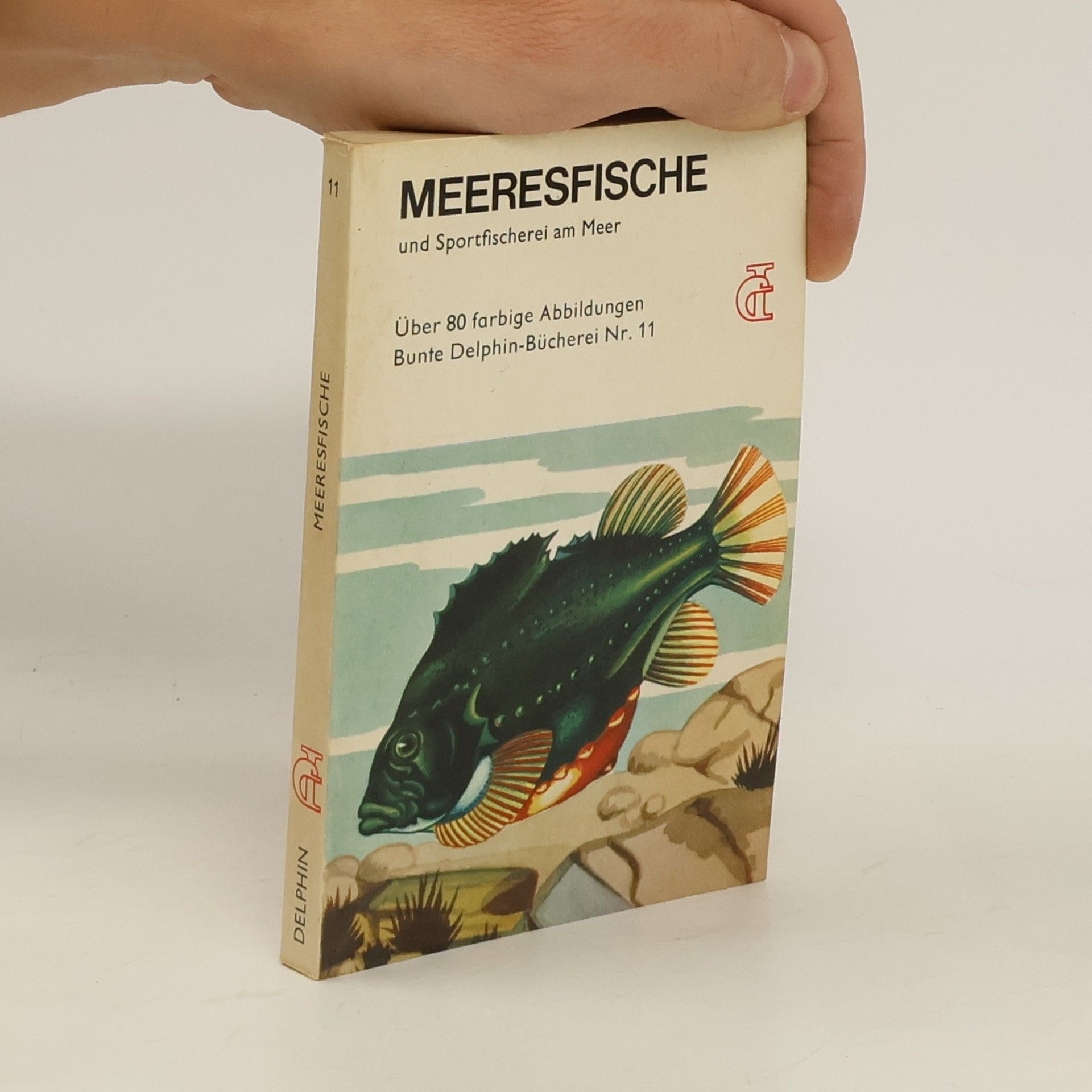 Autorenkollektiv Meeresfische und Sportfischerei am Meer