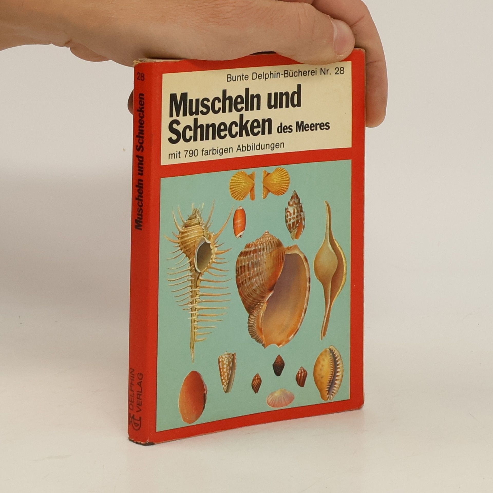Autorenkollektiv Muscheln und Schnecken des Meeres