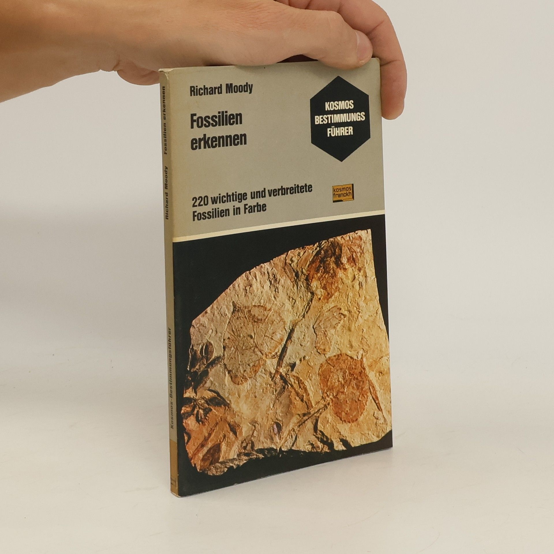 Richard Moody Fossilien erkennen: 220 wichtige u. verbreitete Fossilien in Farbe