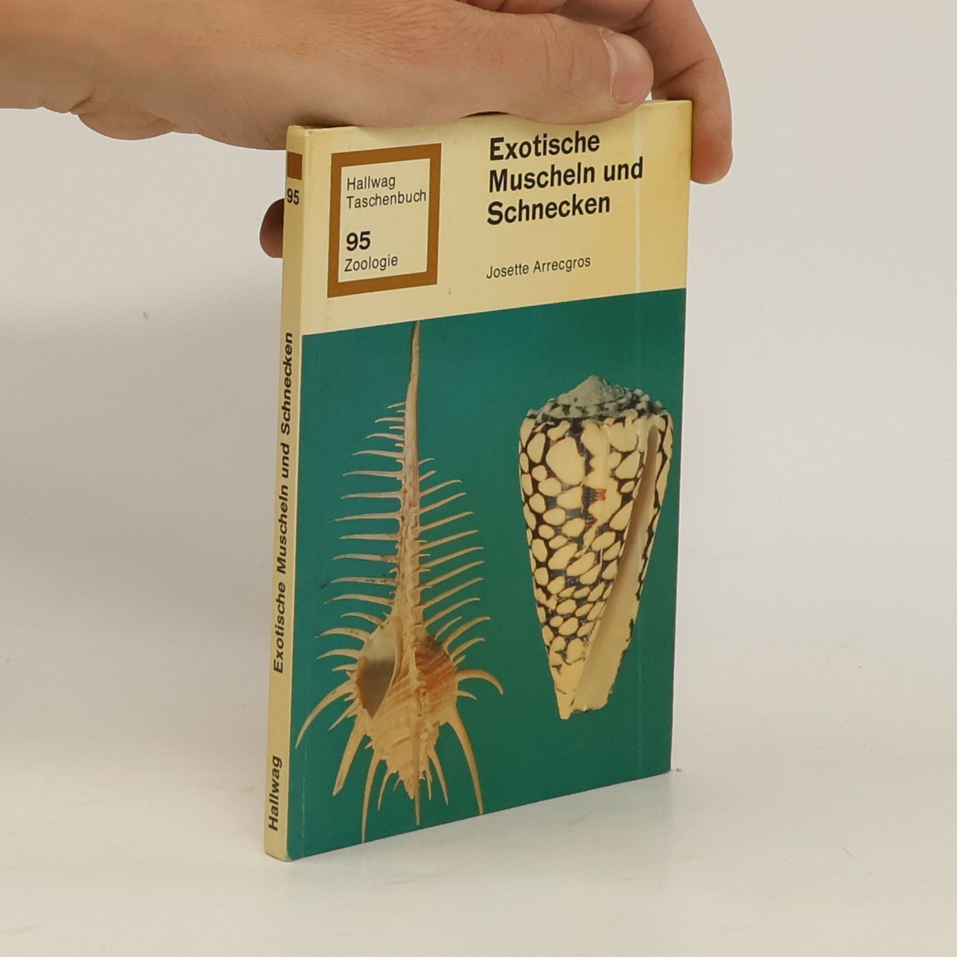 Josette Arrecgros Exotische Muscheln und Schnecken