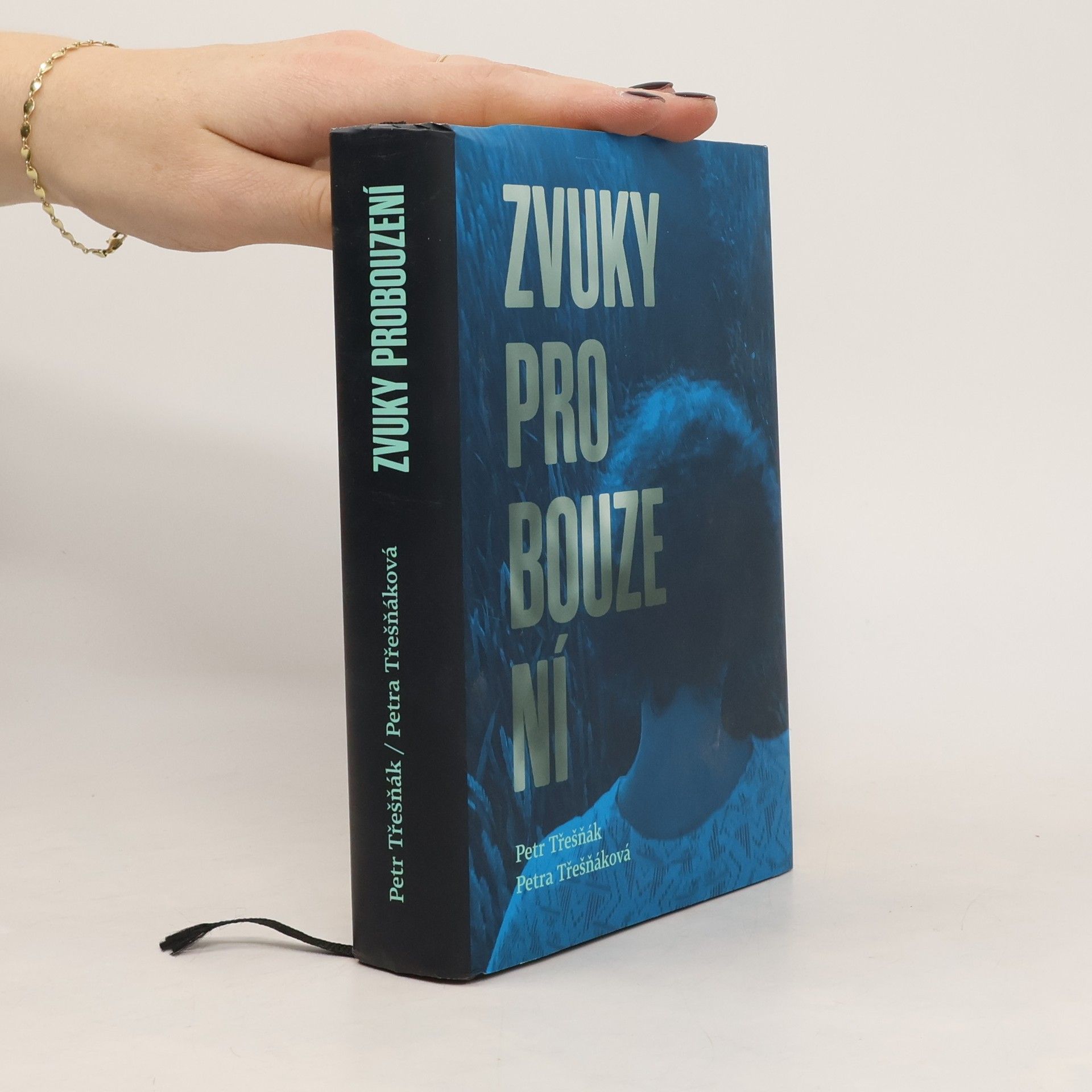 Petr Třešňák Zvuky probouzení