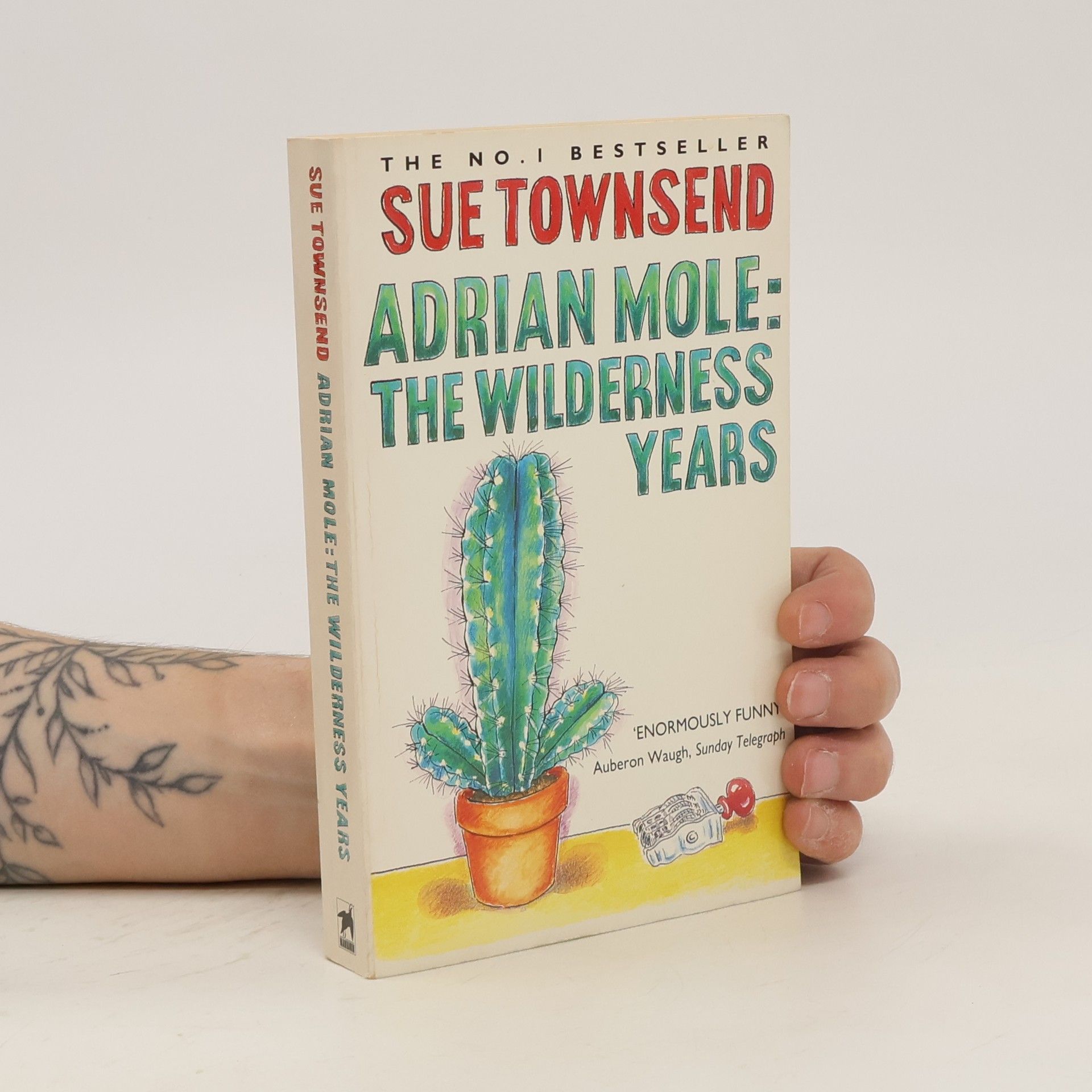 Sue Townsend Adrian Mole: The Wilderness Years