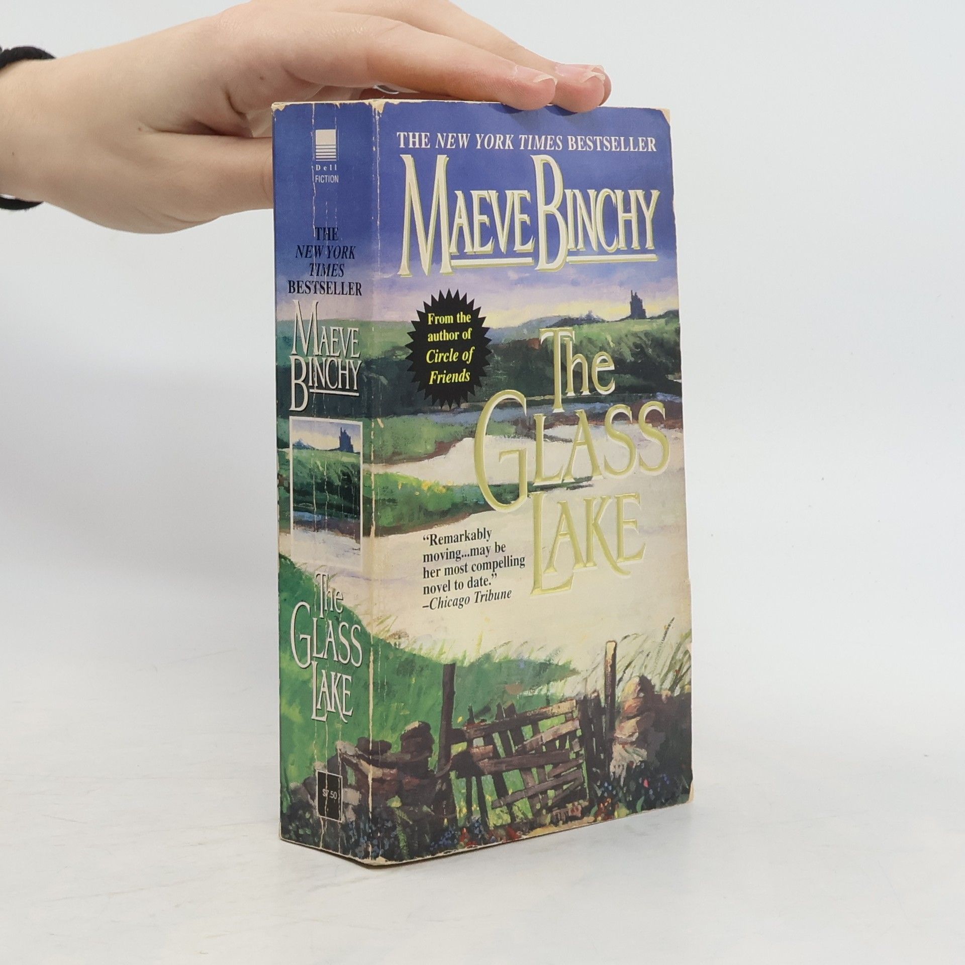 Maeve Binchy The Glass Lake