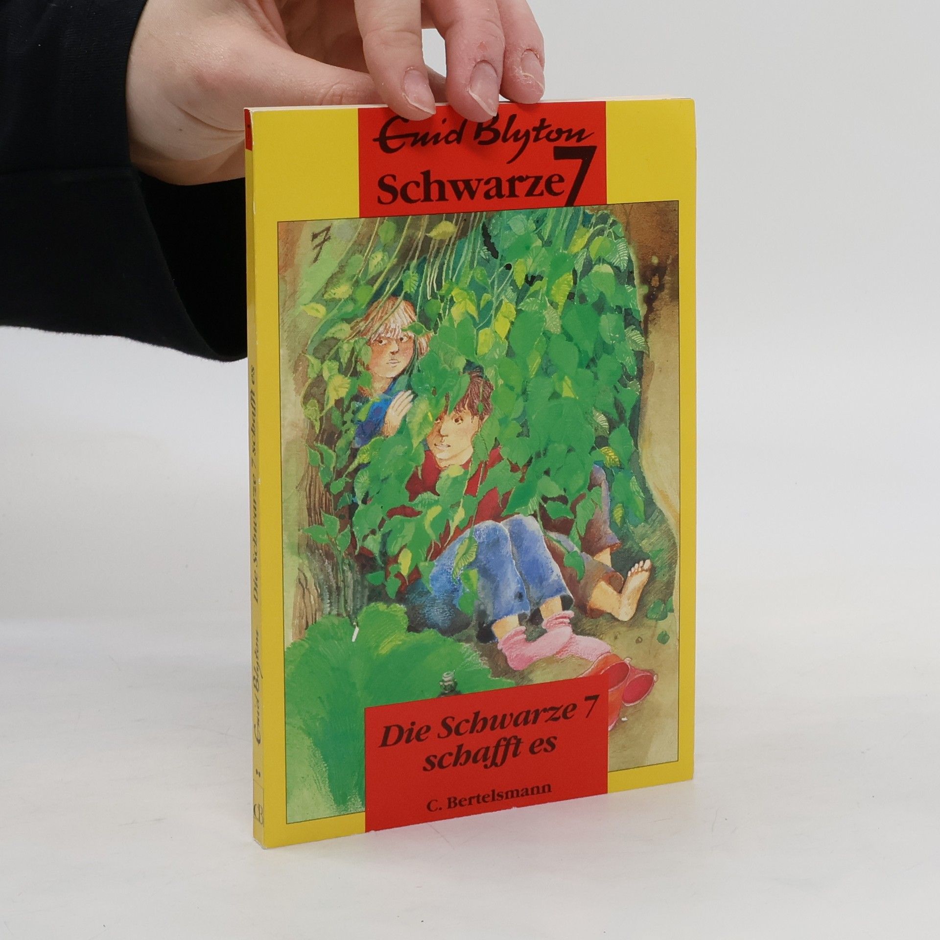 Enid Blyton Die Schwarze Sieben schafft es