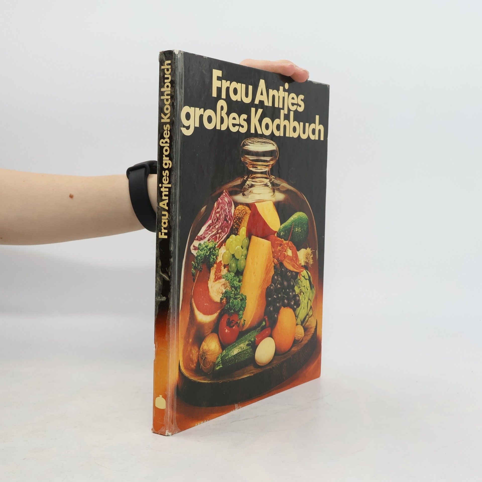 Hedwig Schnittker Frau Antjes grosses Kochbuch