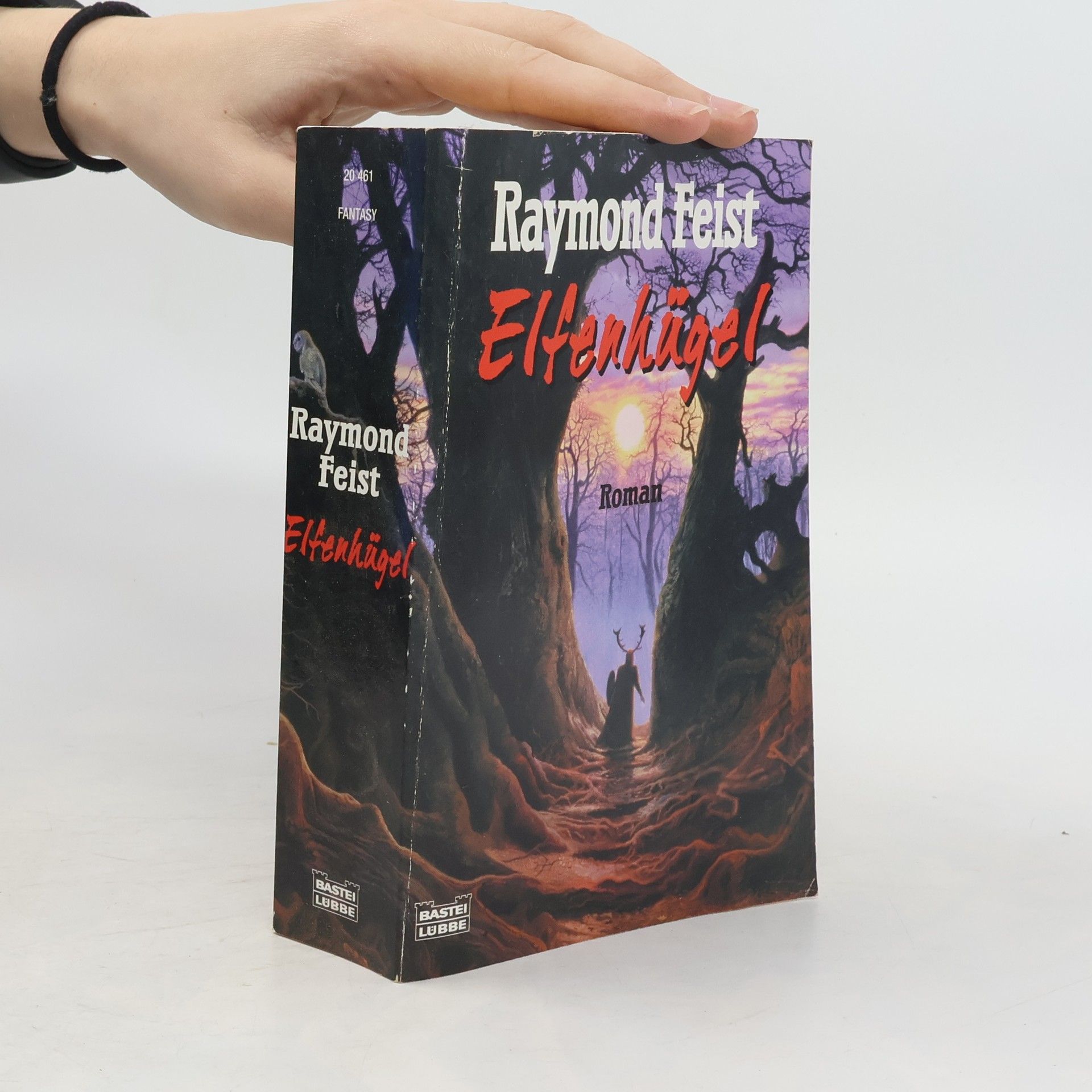 Raymond Feist Elfenhügel. Roman