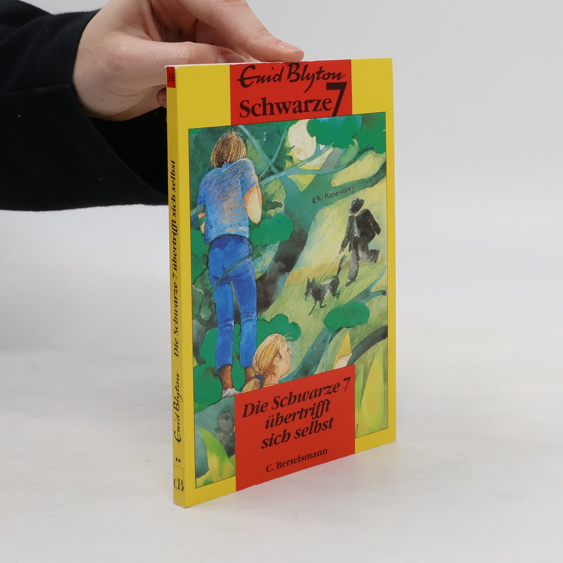 Enid Blyton Die Schwarze 7 übertrifft sich selbst