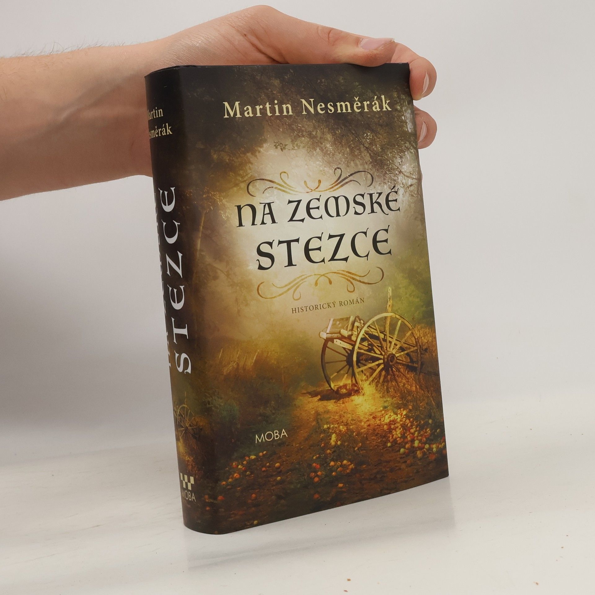 Martin Nesměrák Na zemské stezce