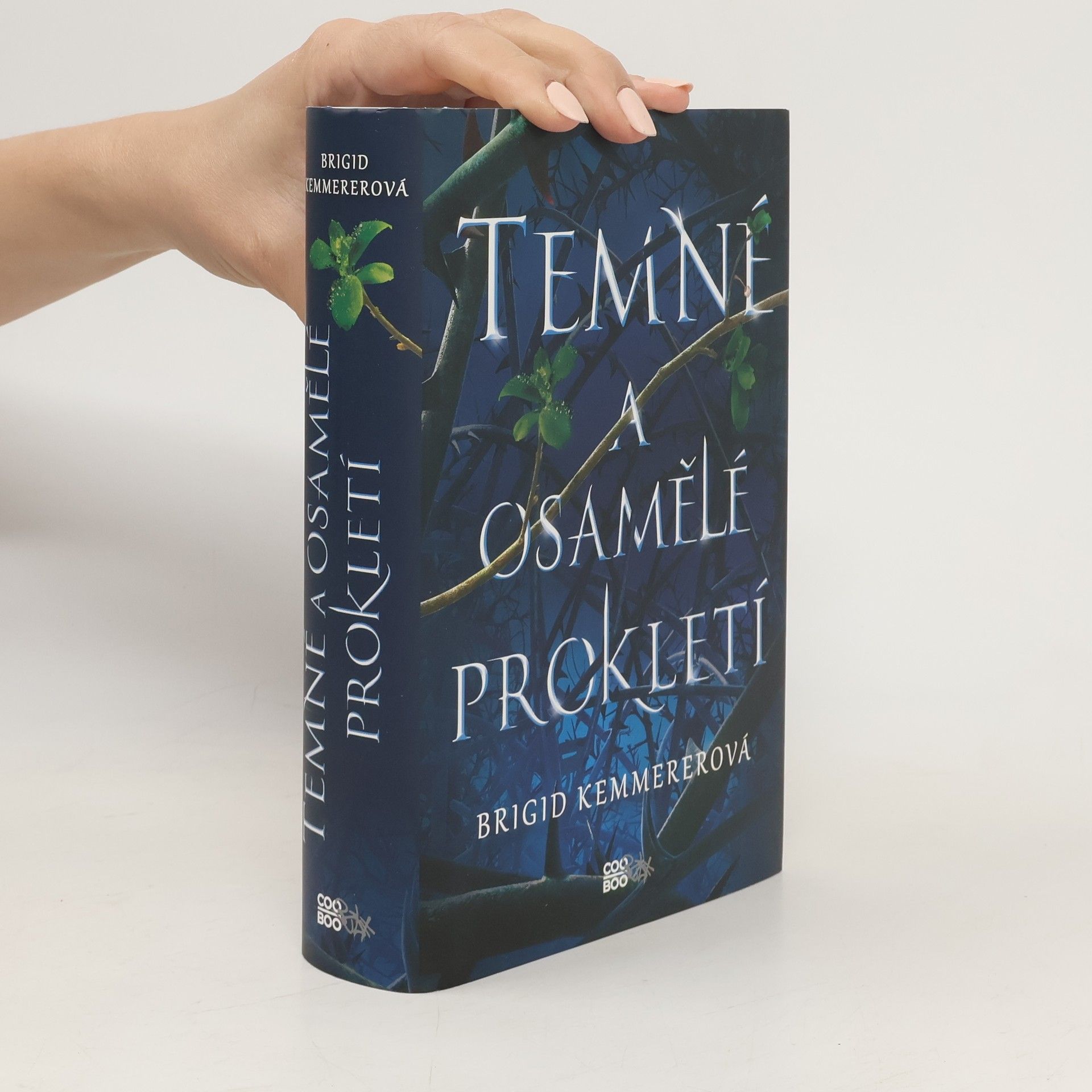 Brigid Kemmerer Temné a osamělé prokletí
