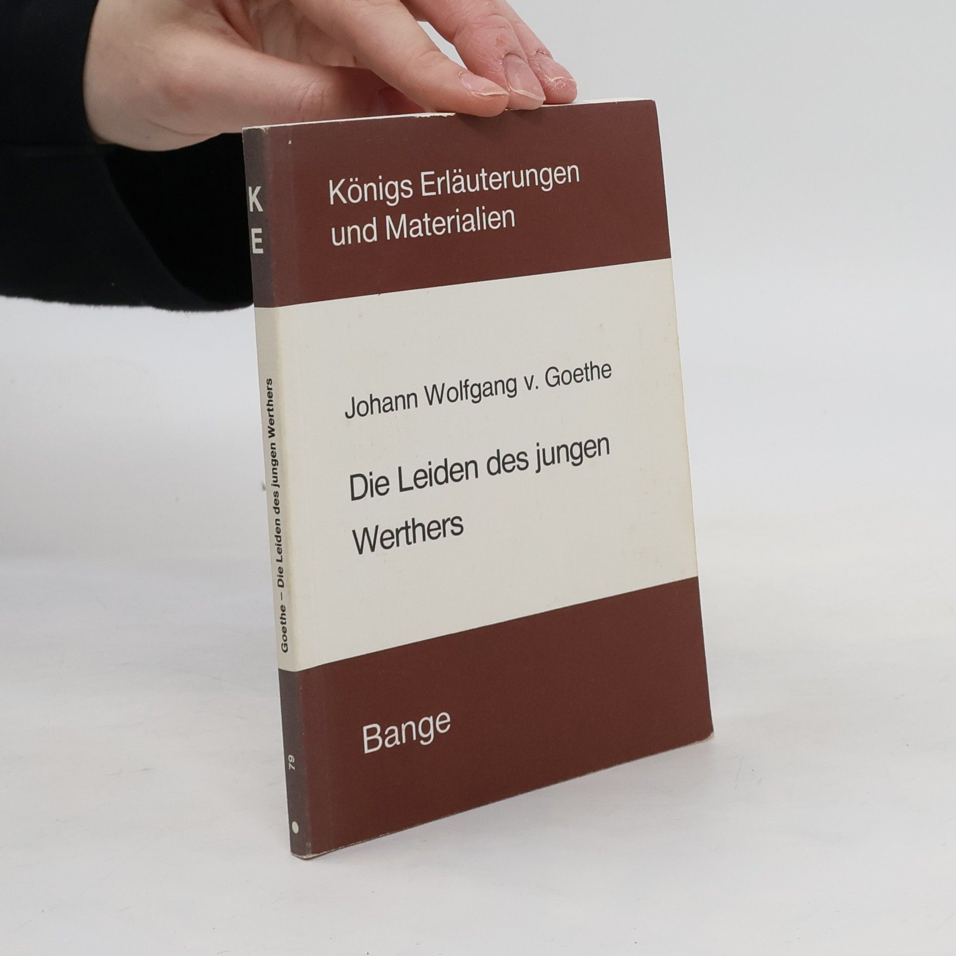 Eva Brinckschulte Erläuterungen zu Johann Wolfgang v. Goethe, Die Leiden des jungen Werthers