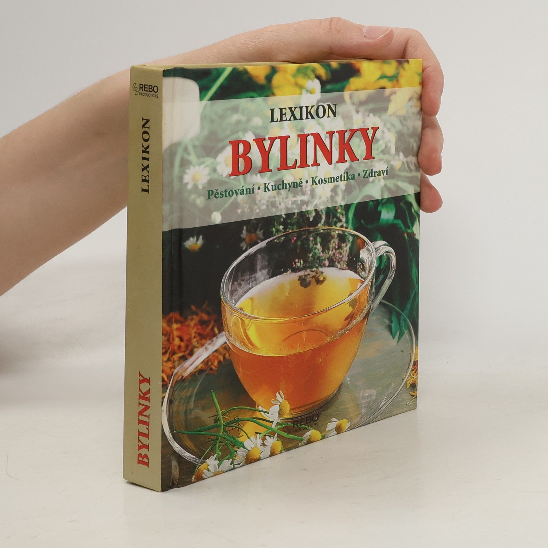 Andrea Rausch Bylinky