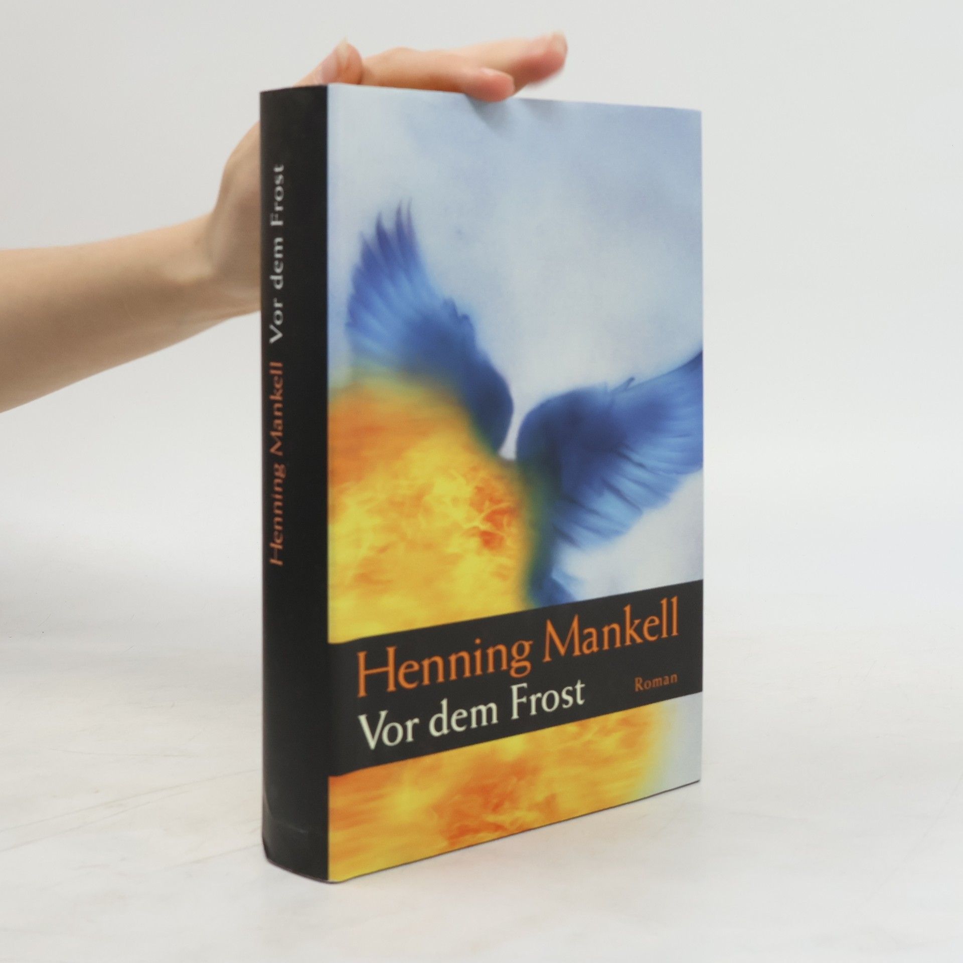 Henning Mankell Vor dem Frost