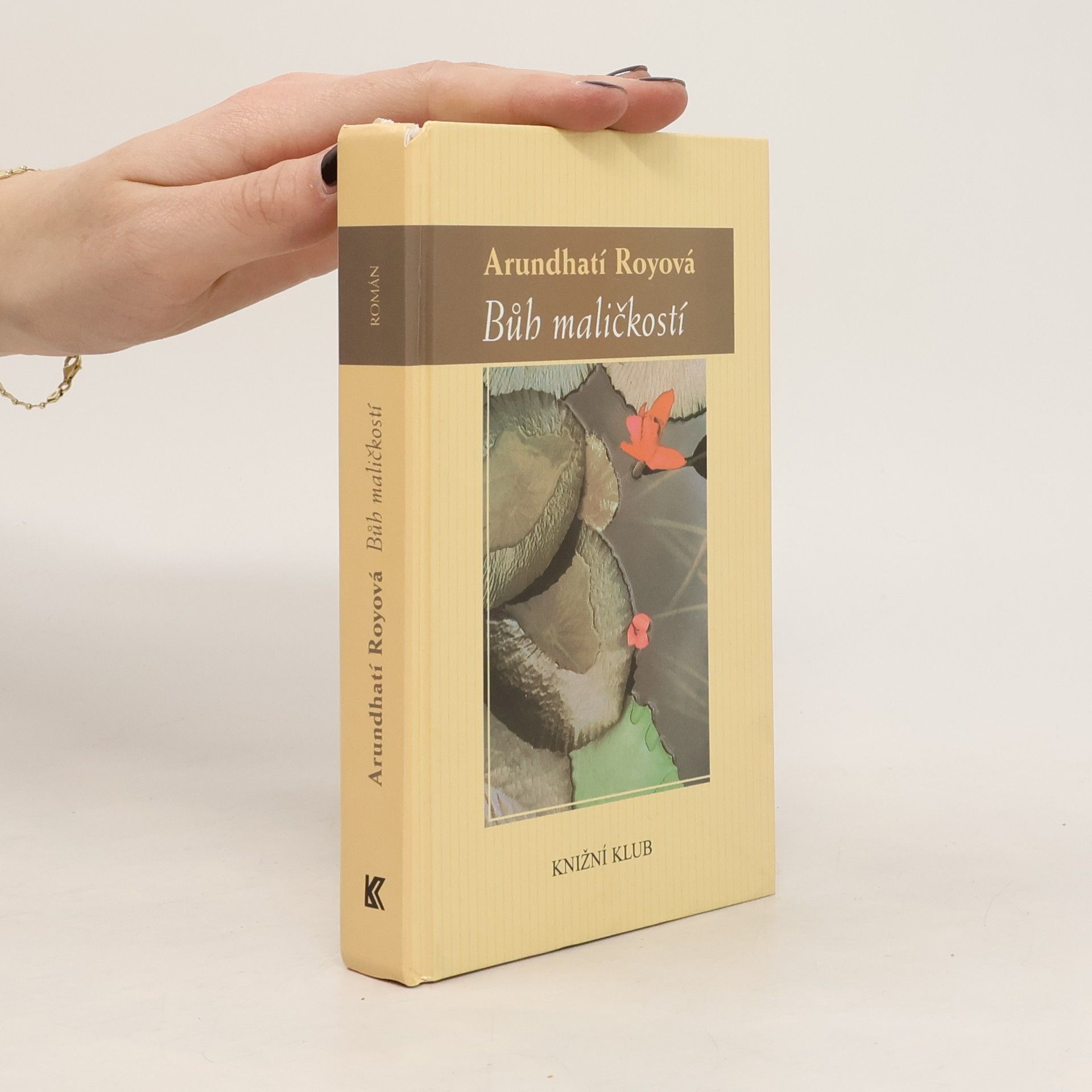 Arundhati Roy Bůh maličkostí